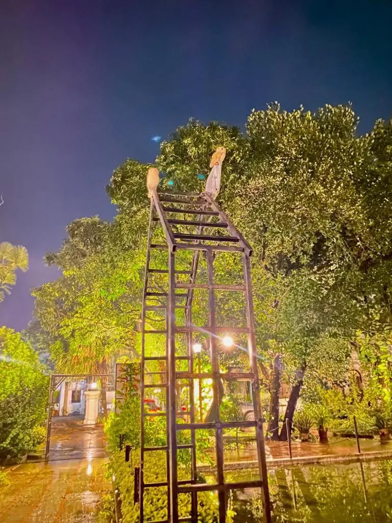 Property building in A Mansion