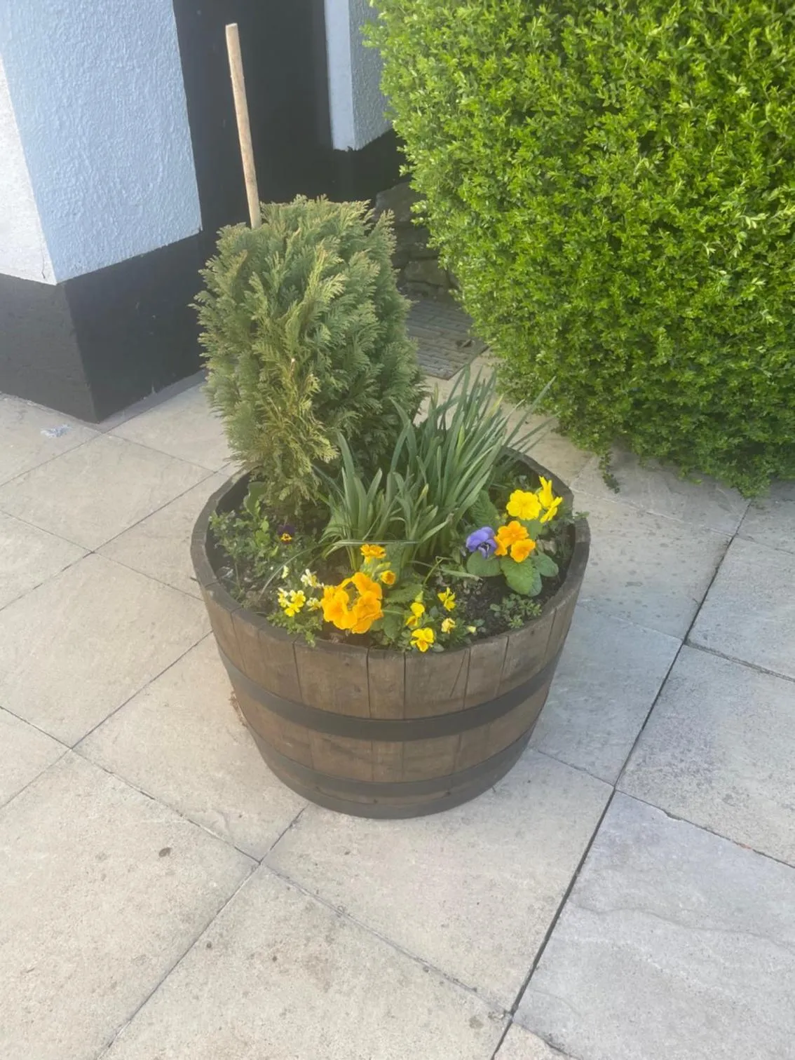 The Dog & Partridge Country Inn