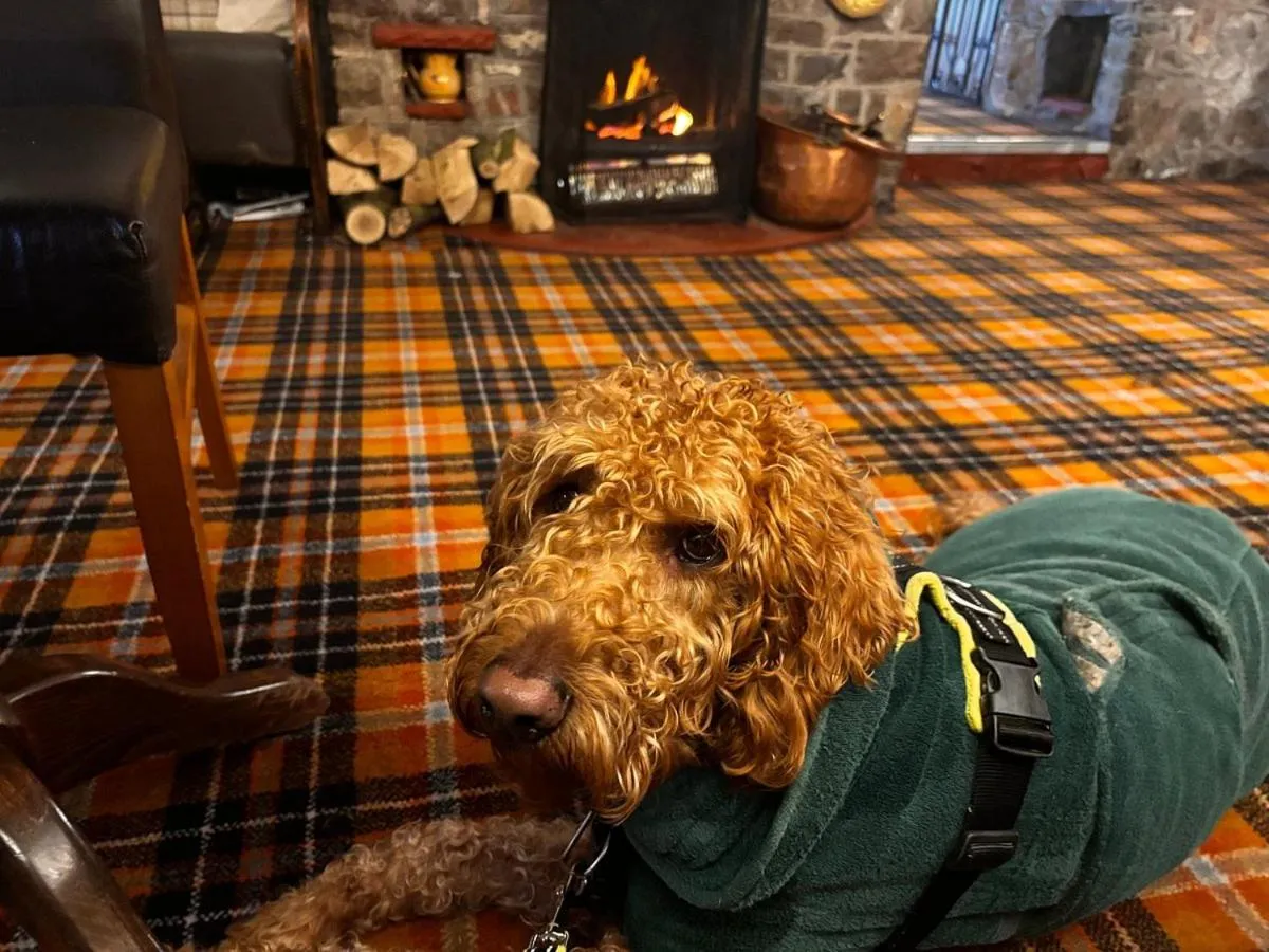 Lounge or bar in The Dog & Partridge Country Inn