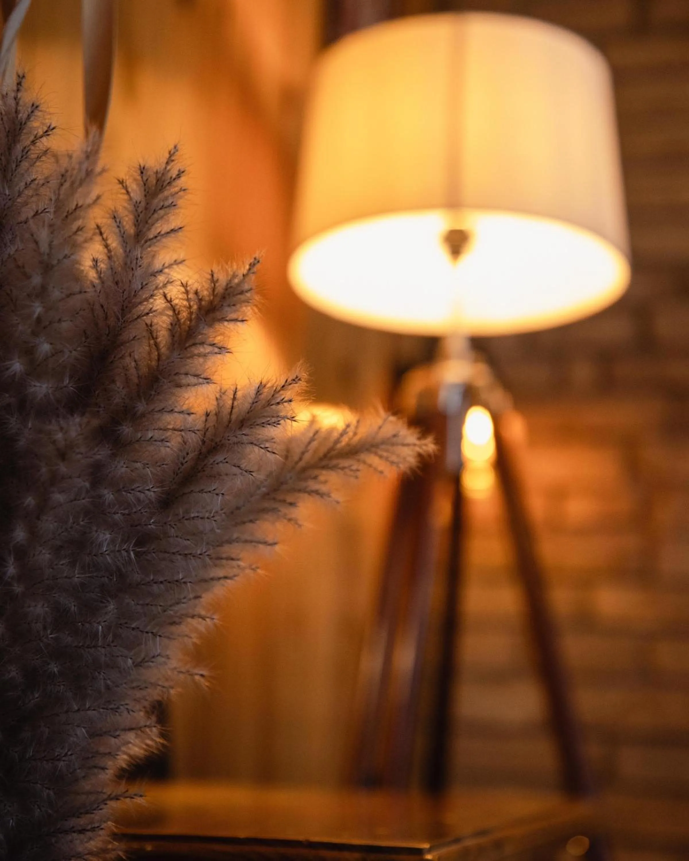 Kasar Himalaya Holiday Resort, Binsar Rd