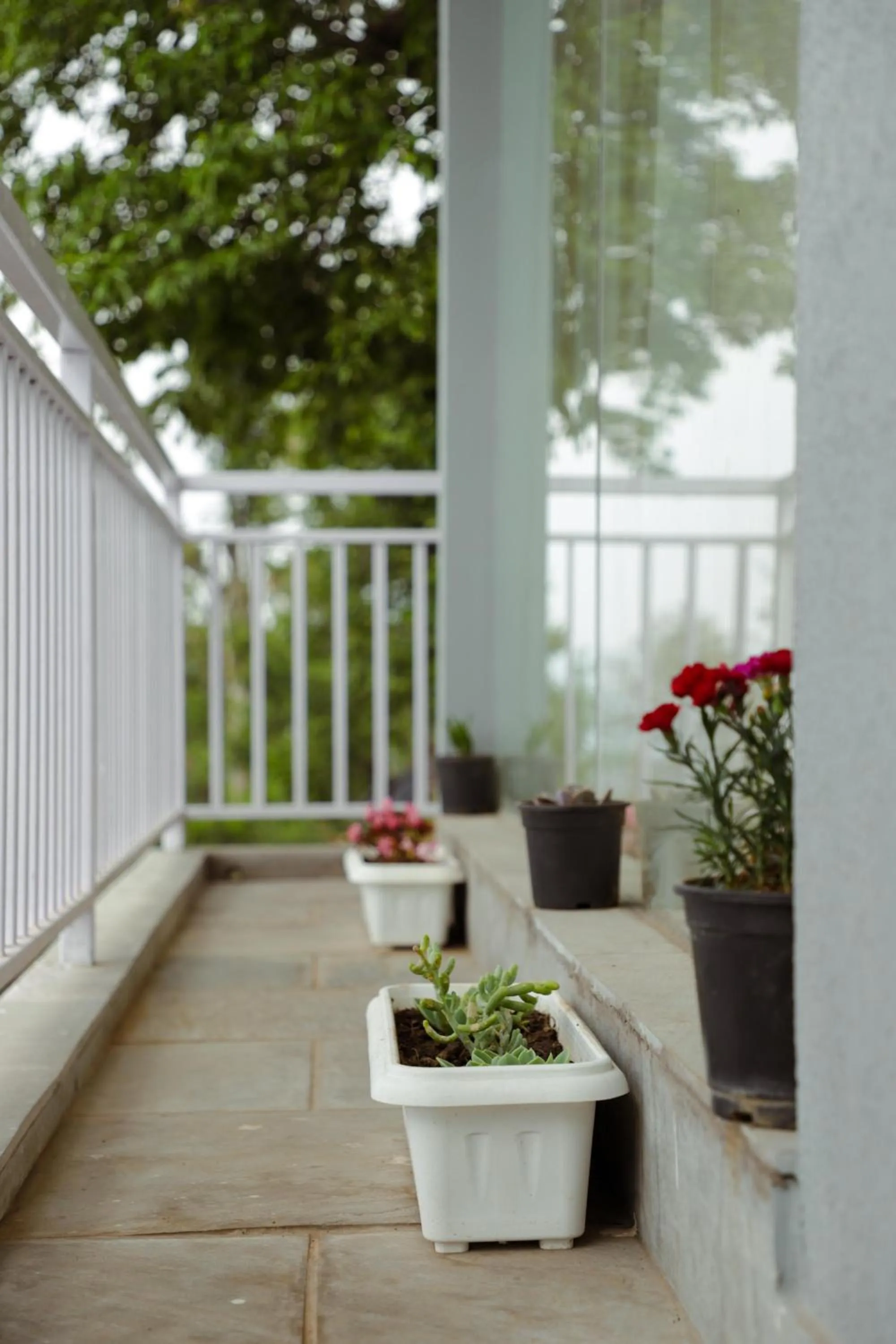 Kasar Himalaya Holiday Resort, Binsar Rd