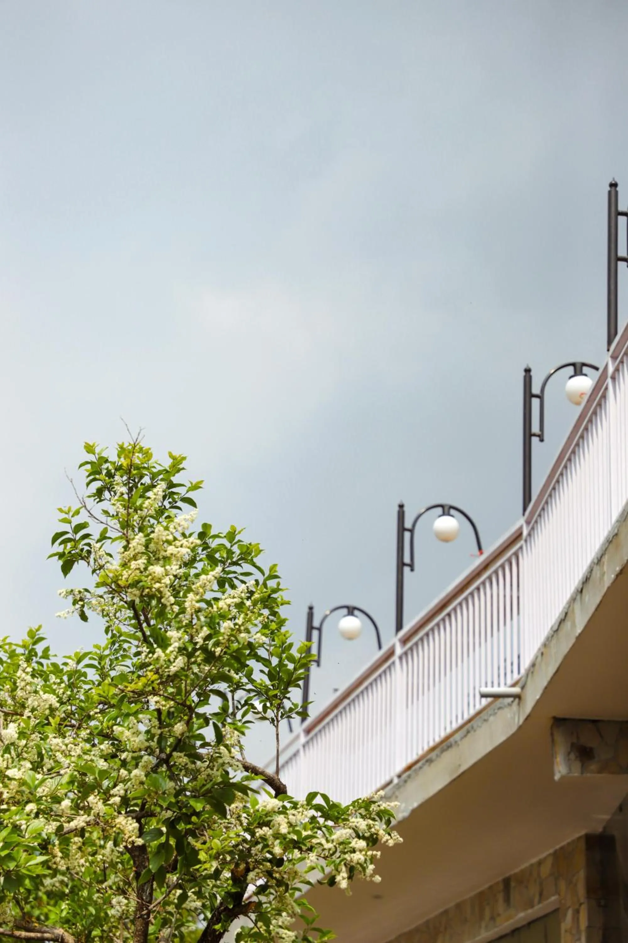 Kasar Himalaya Holiday Resort, Binsar Rd