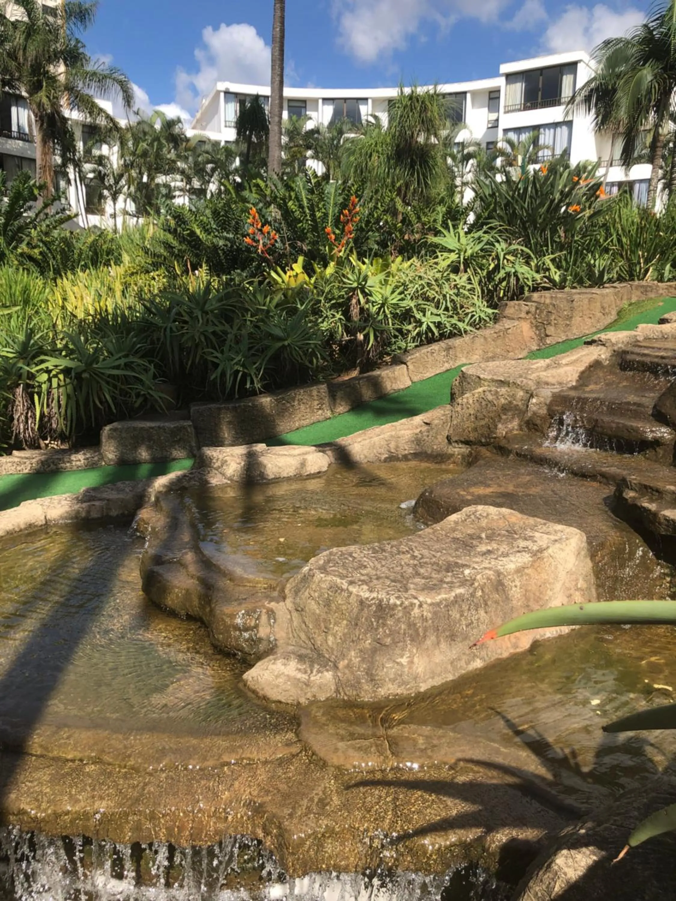 Natural landscape in Breakers Resort, Umhlanga, 232