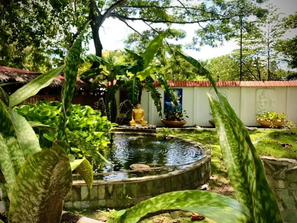 Area and facilities in Whispering Palms Island Resort