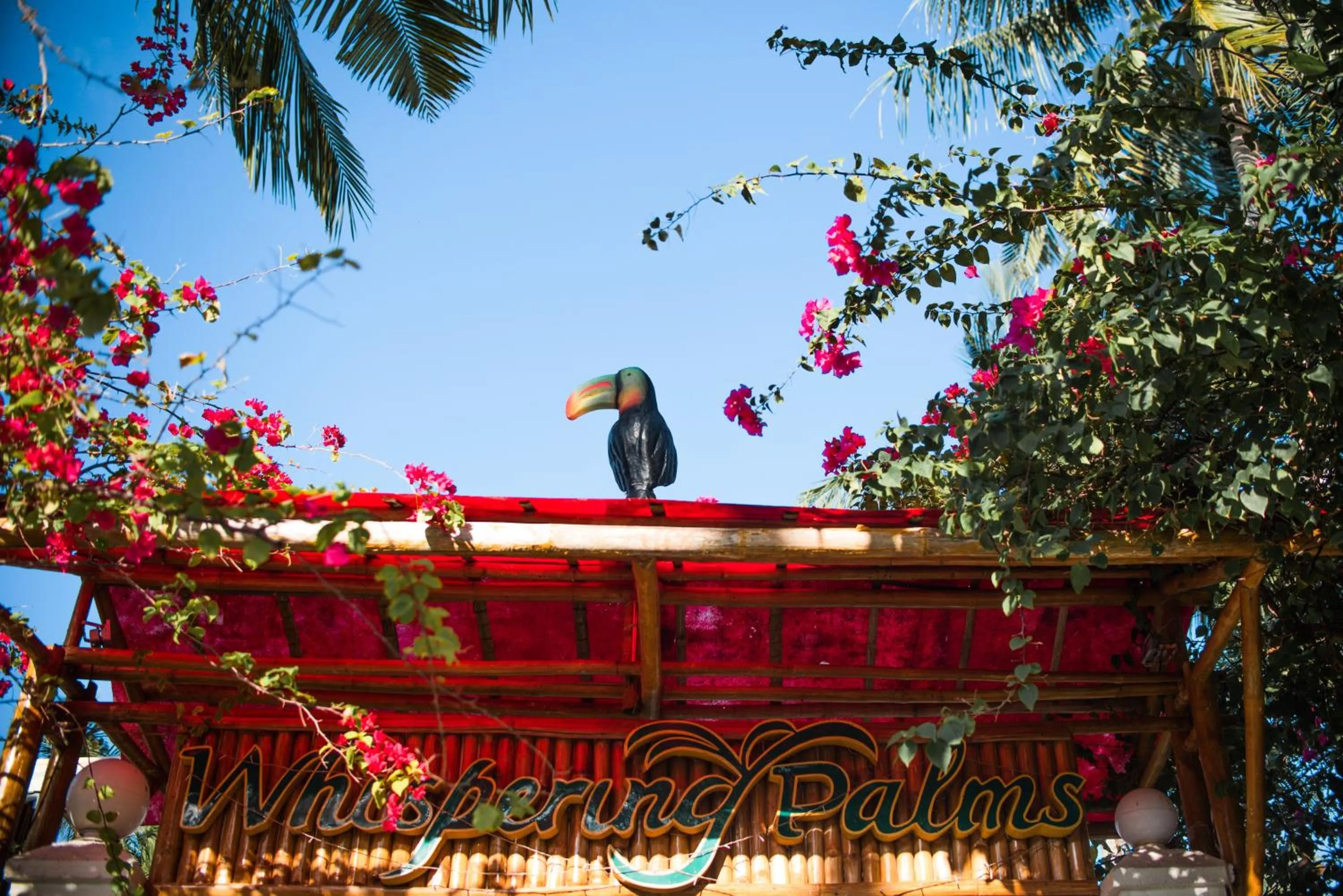 Garden in Whispering Palms Island Resort