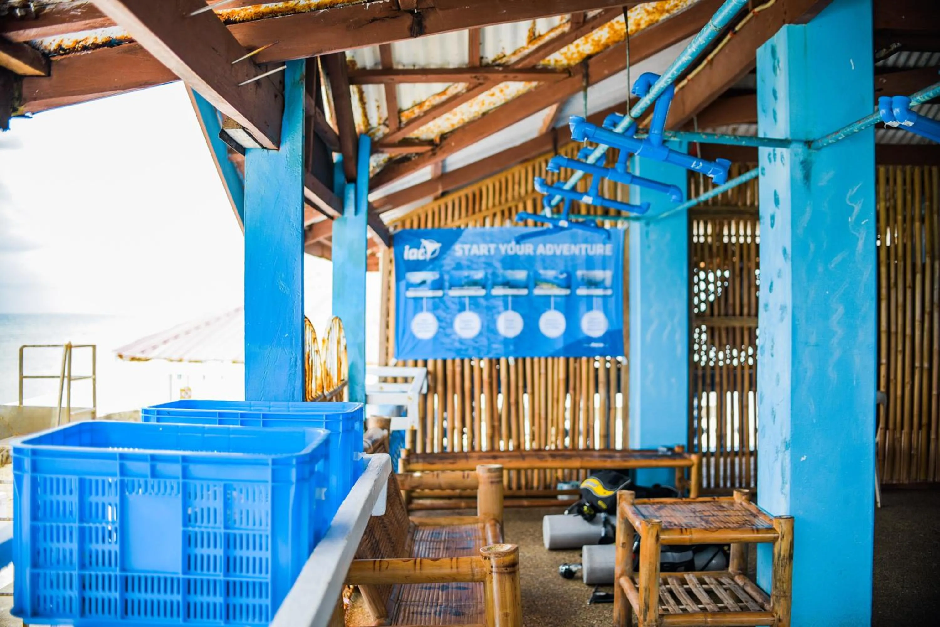 Diving in Whispering Palms Island Resort