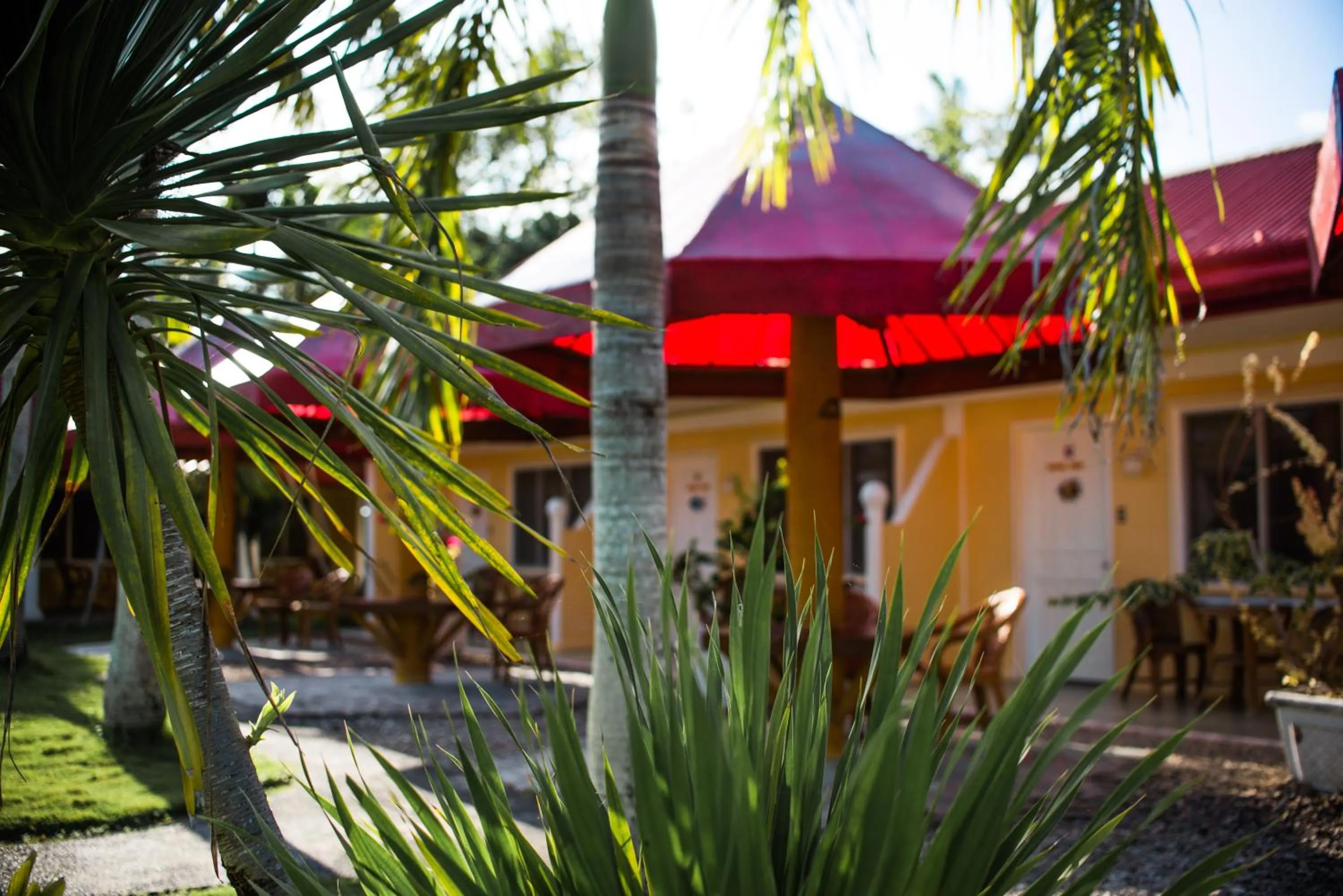 Property building in Whispering Palms Island Resort