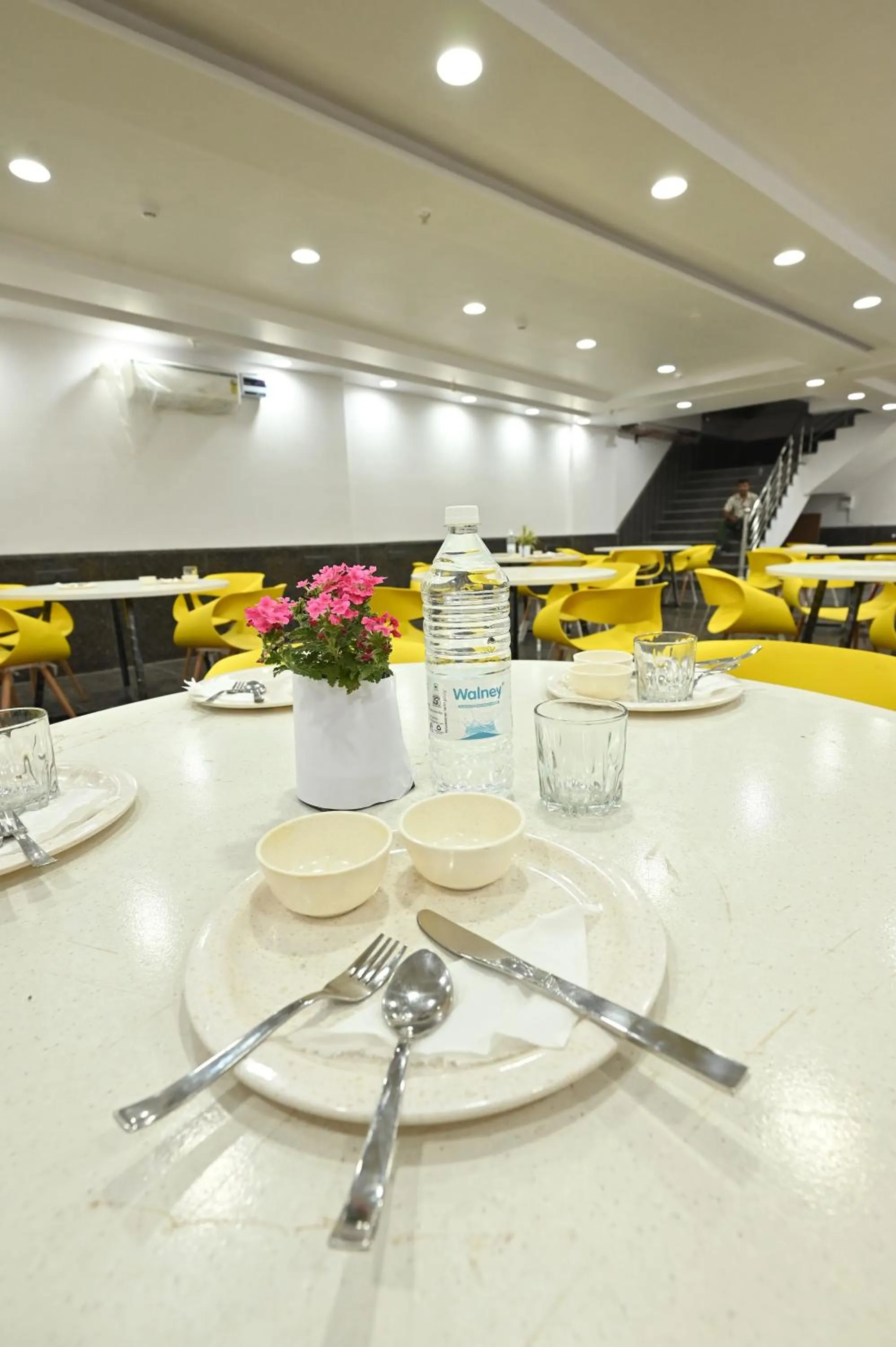 Restaurant/places to eat in Hotel Down Town Paschim Vihar