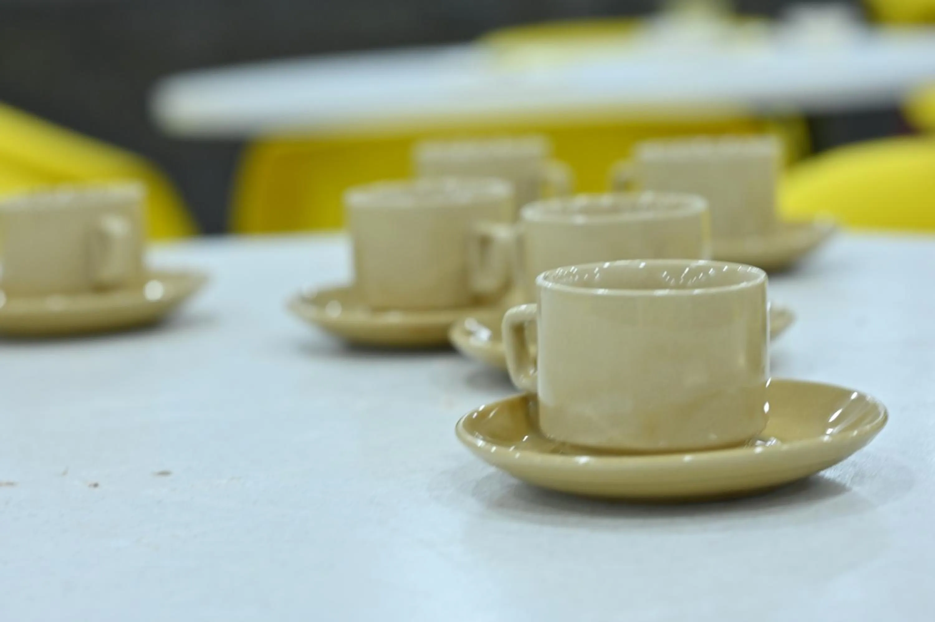 Hotel Down Town Paschim Vihar