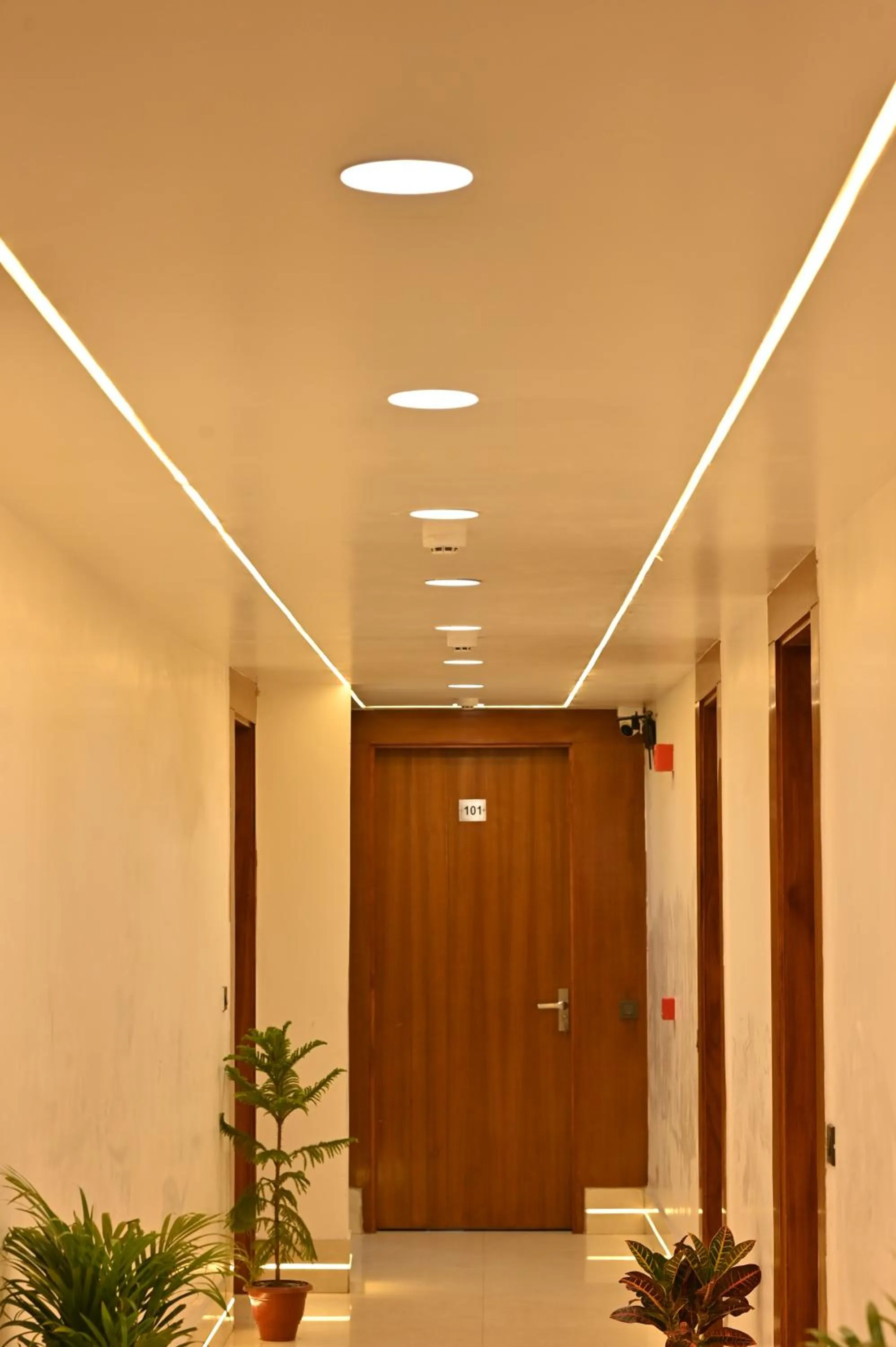 Hotel Down Town Paschim Vihar