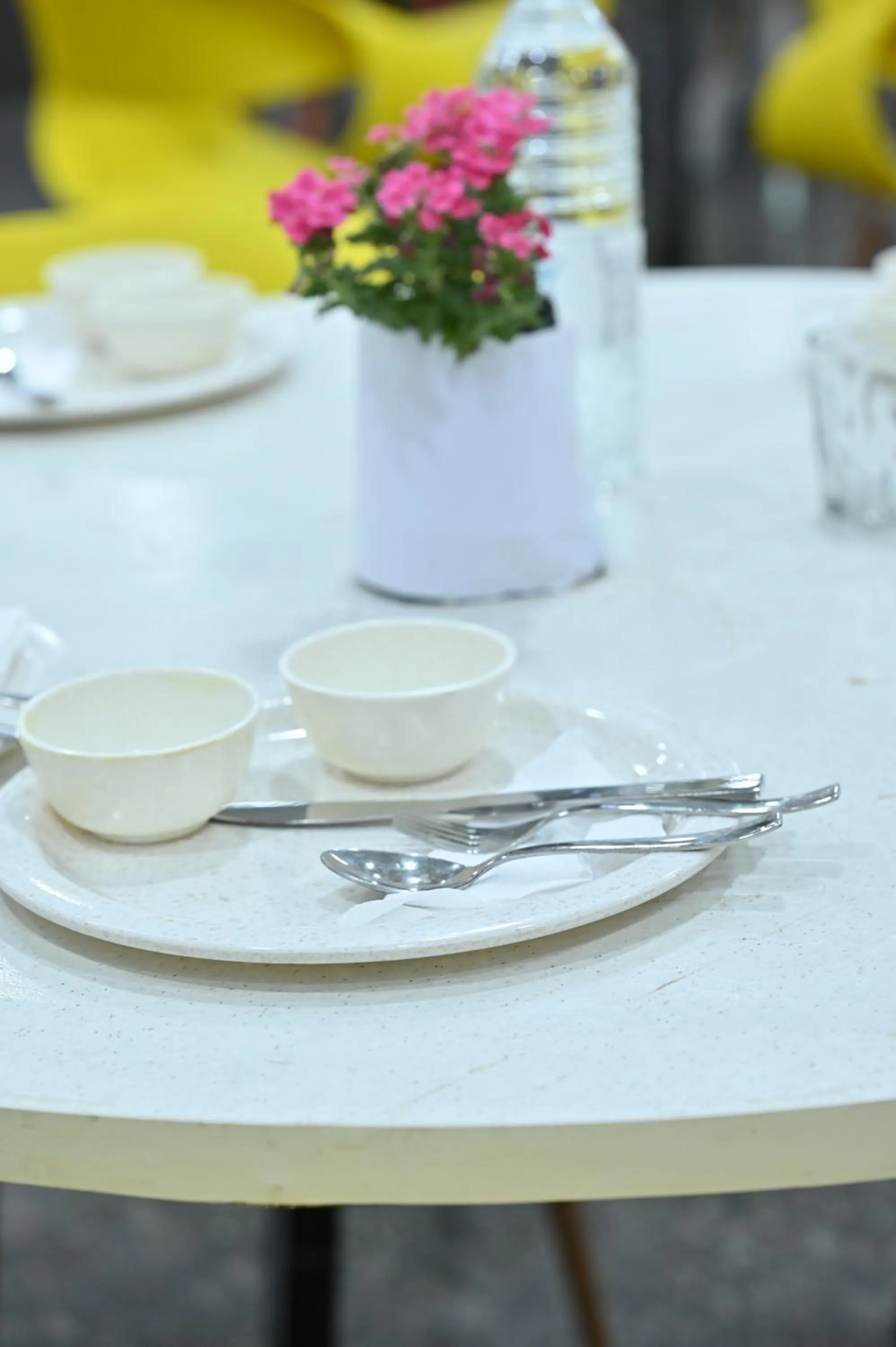 Hotel Down Town Paschim Vihar