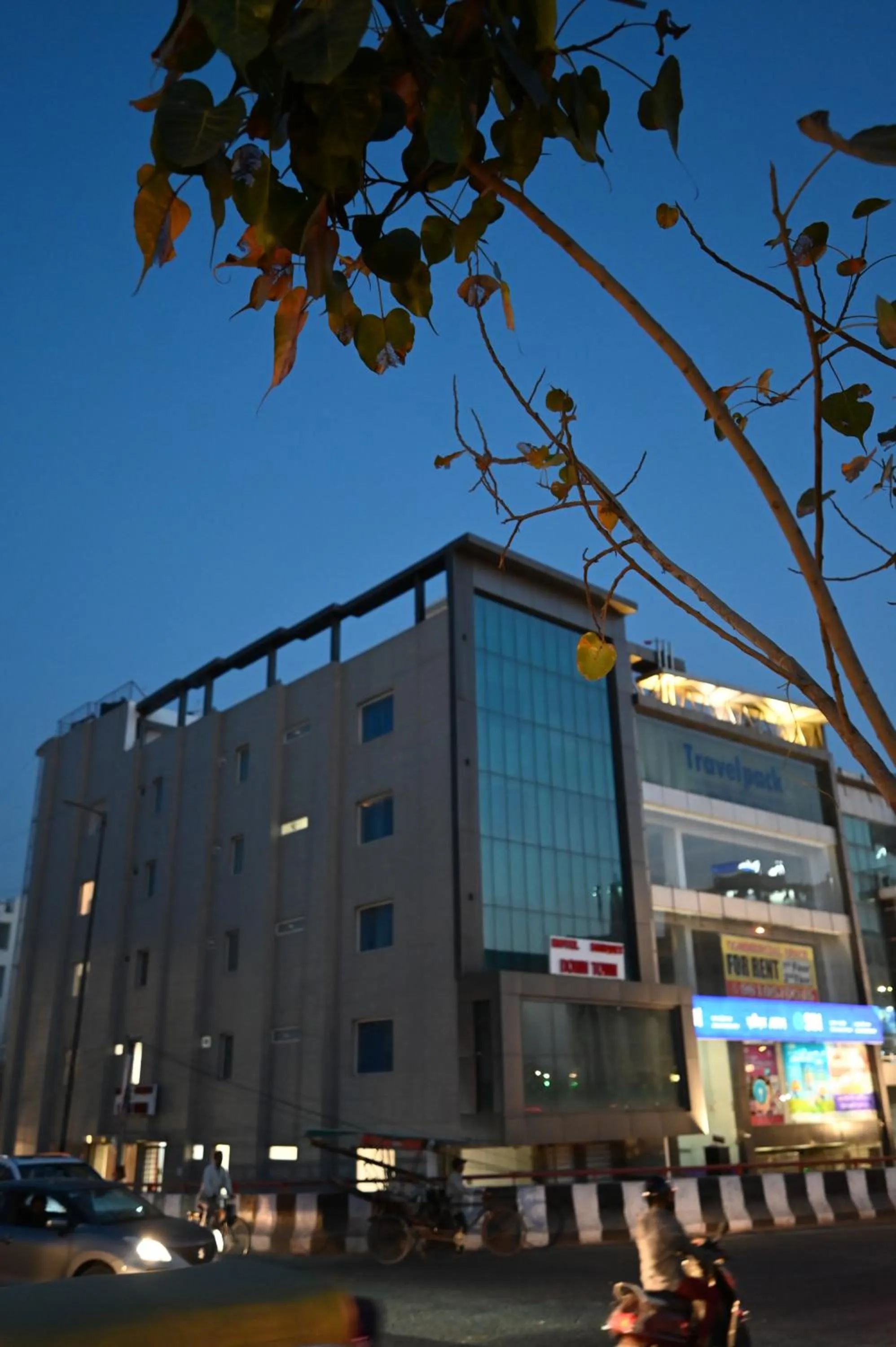 Hotel Down Town Paschim Vihar