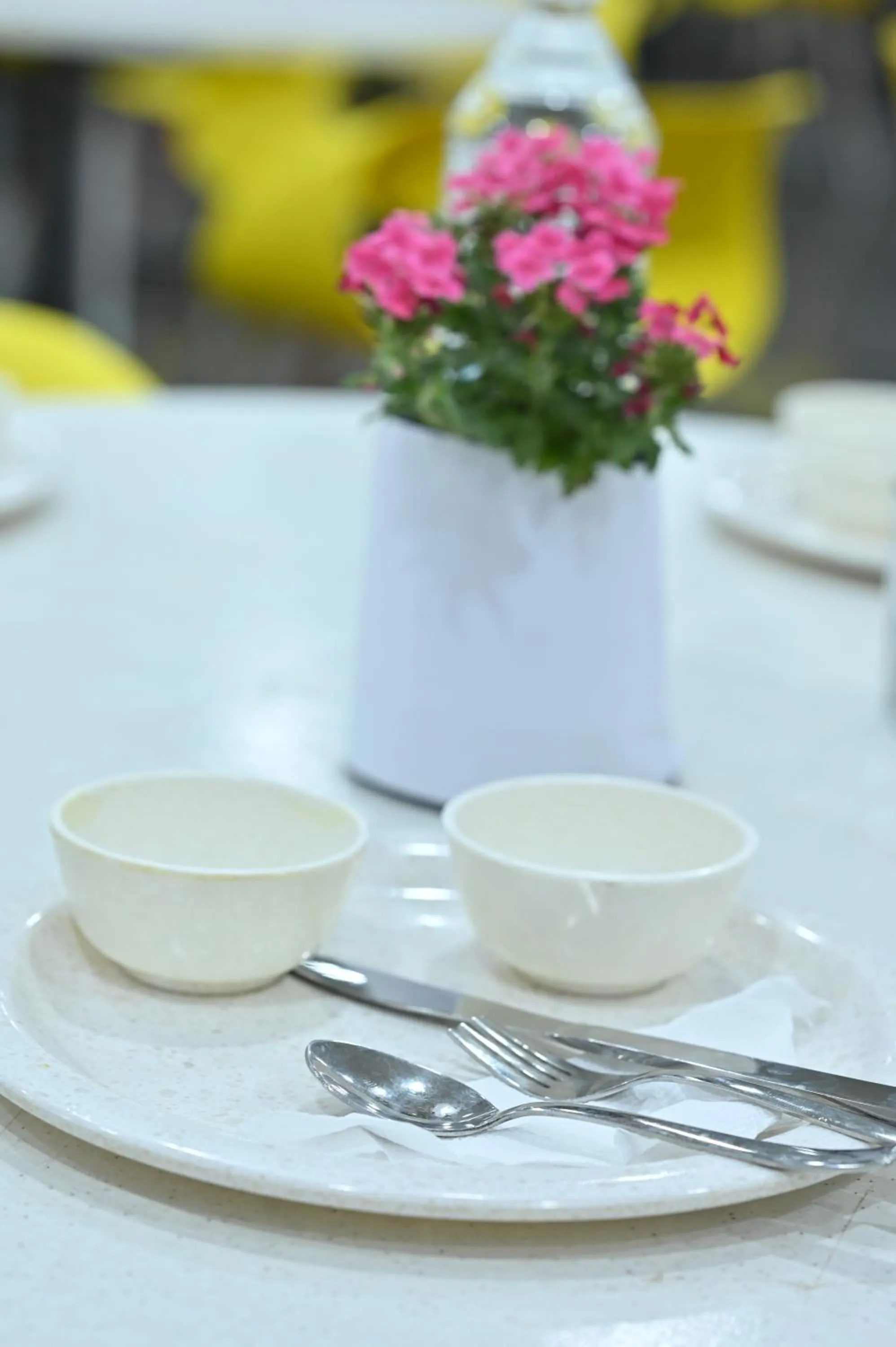 Hotel Down Town Paschim Vihar