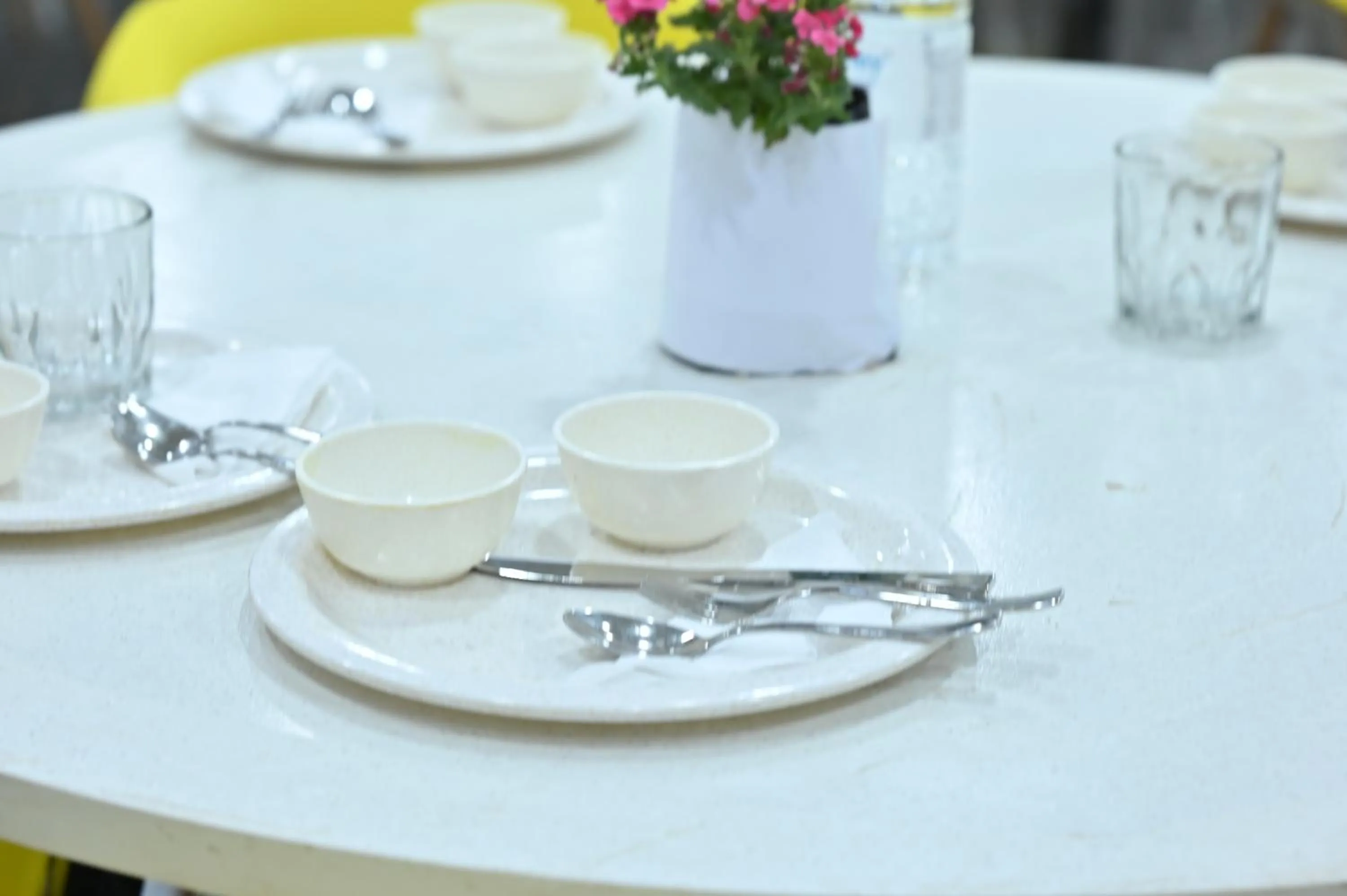 Hotel Down Town Paschim Vihar