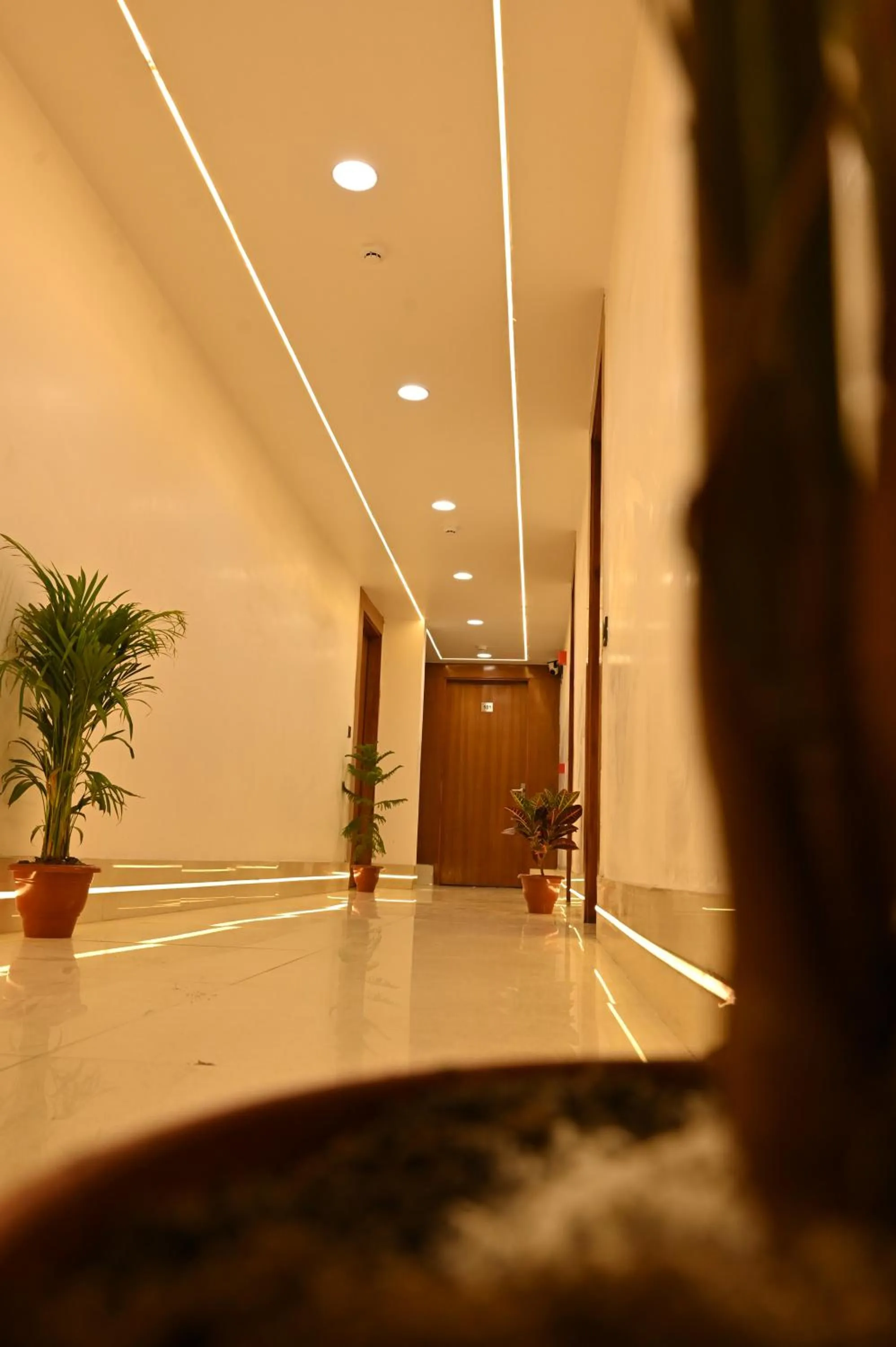 Hotel Down Town Paschim Vihar