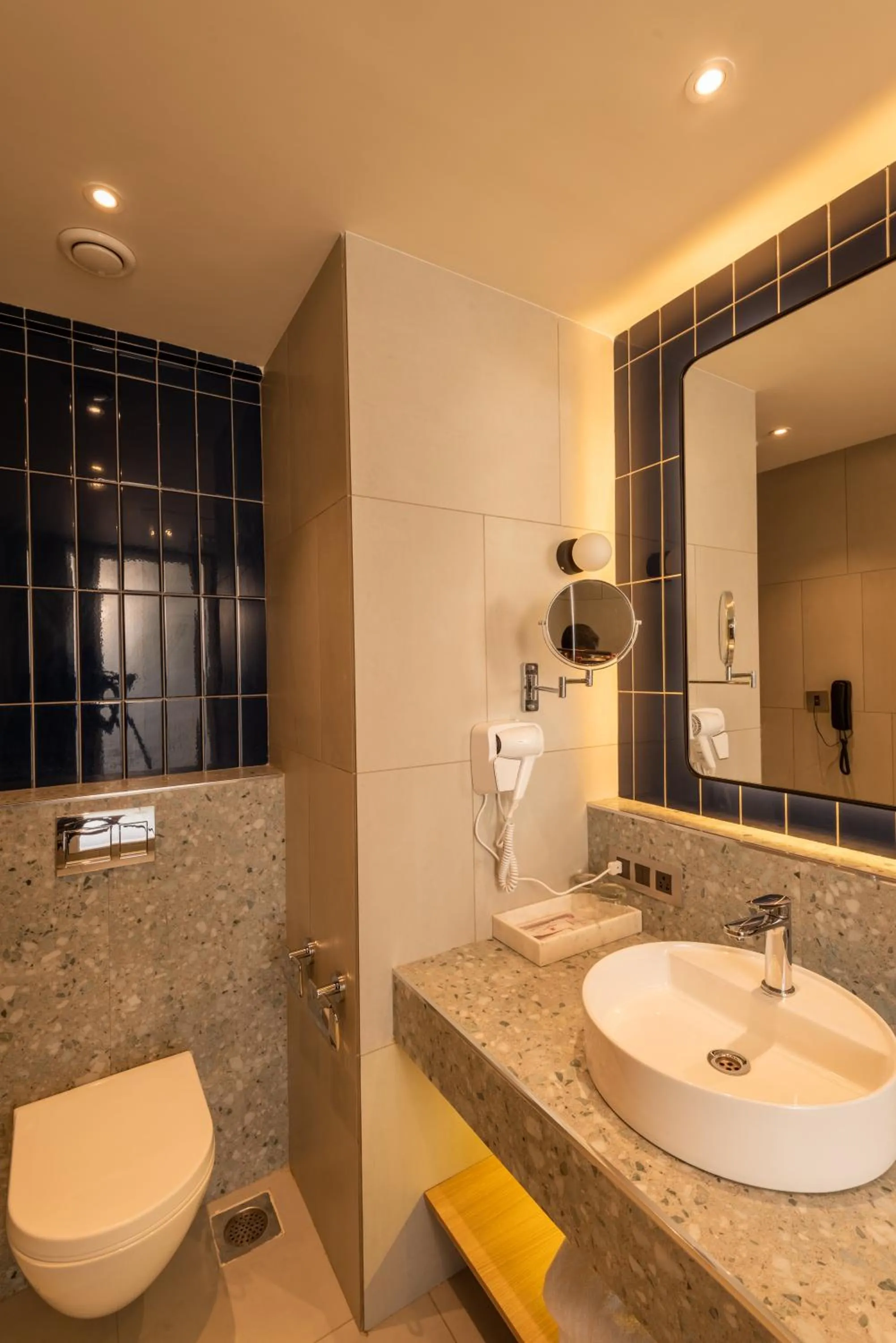 Toilet in Regenta Place Vasco Goa