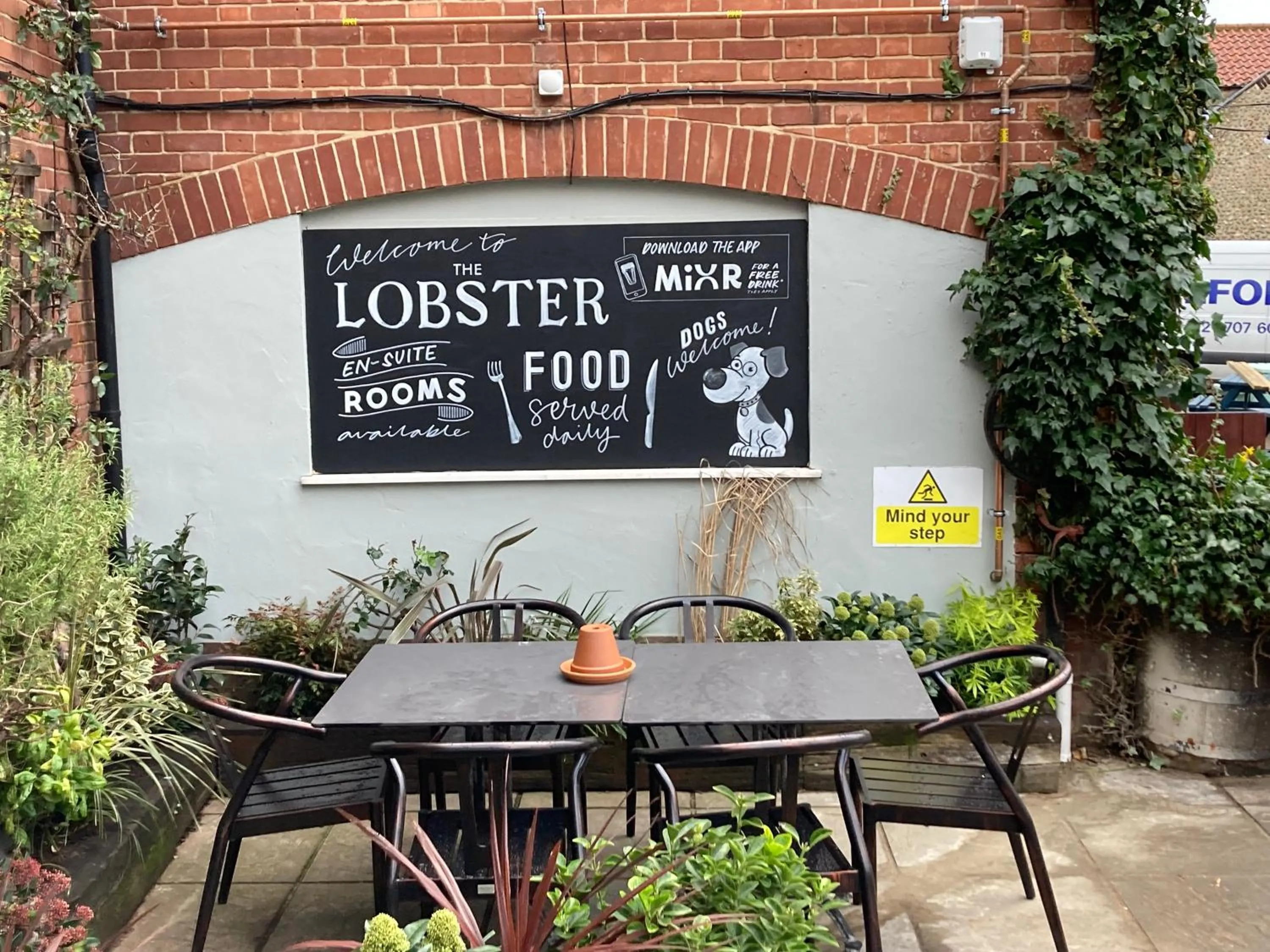 Text overlay in The Lobster