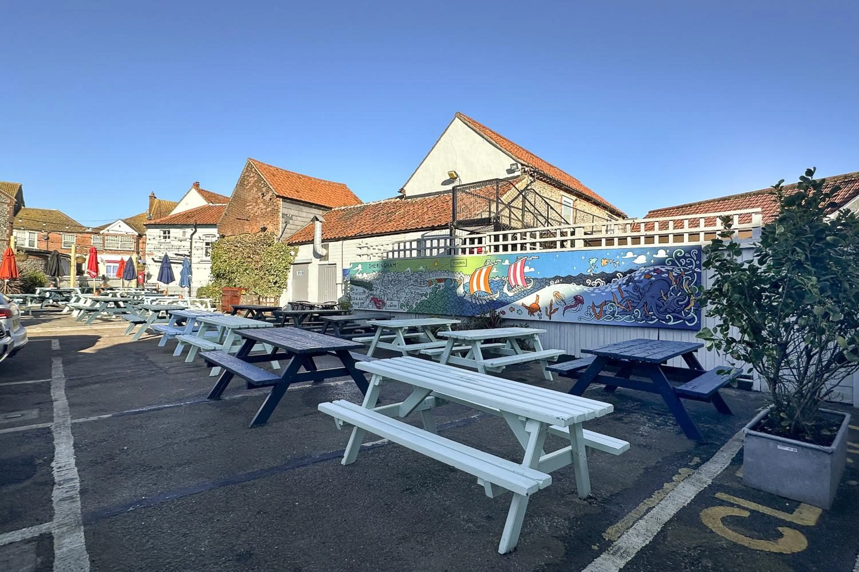 Garden in The Lobster