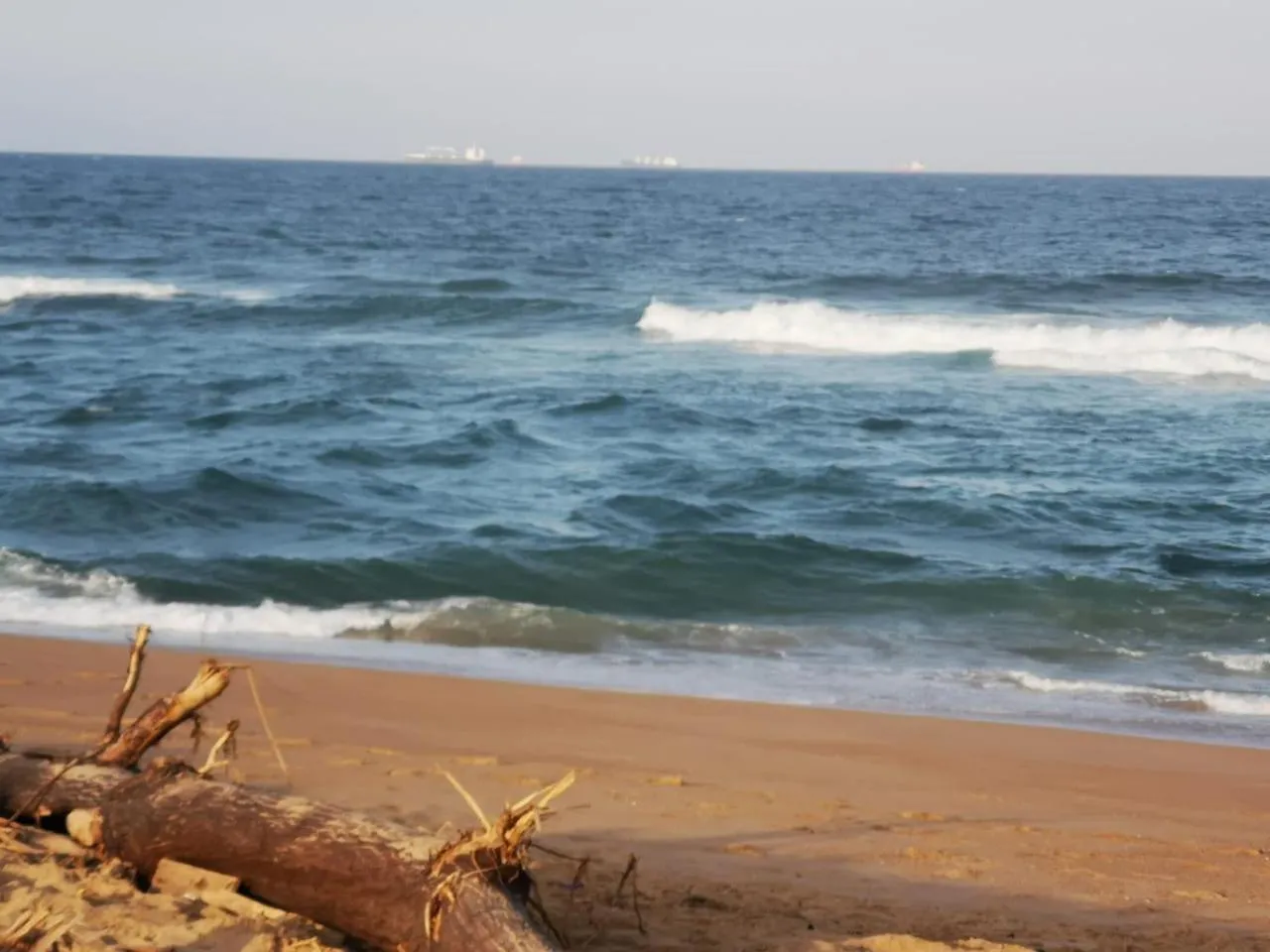 Dolphin Coast B&B / Self catering