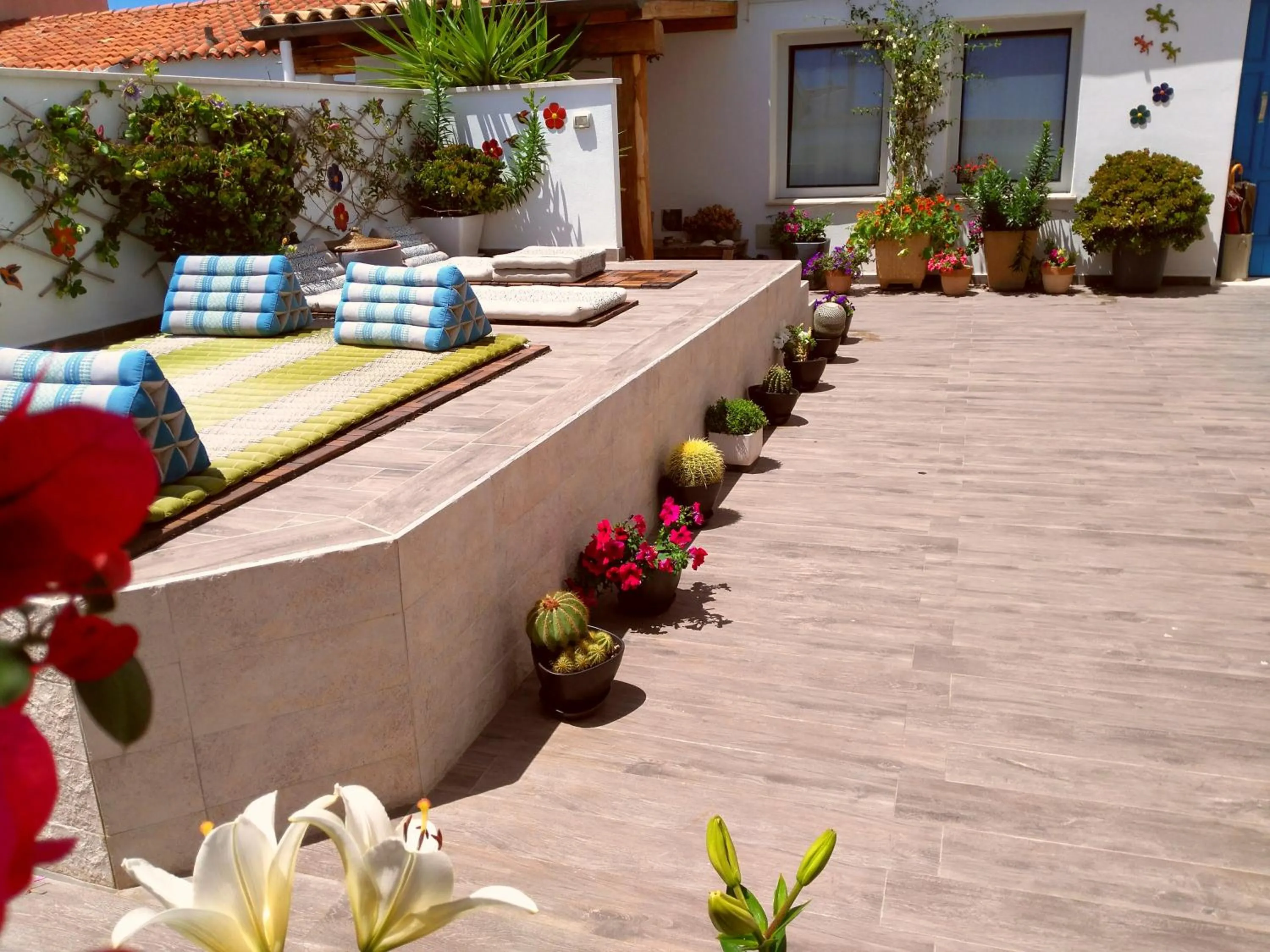 Garden in B&B Domus de Janas Santa Teresa Gallura