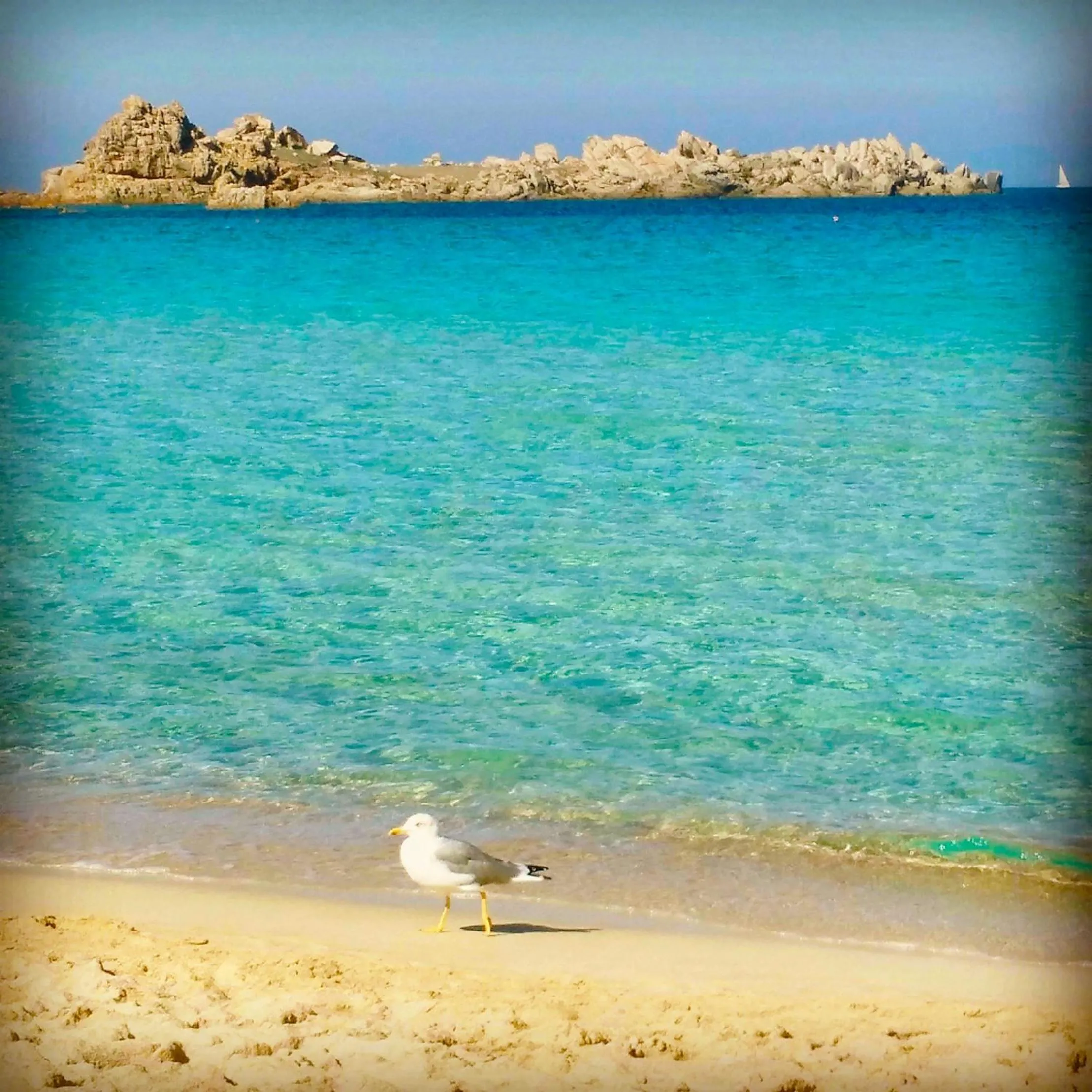 Natural landscape in B&B Domus de Janas Santa Teresa Gallura