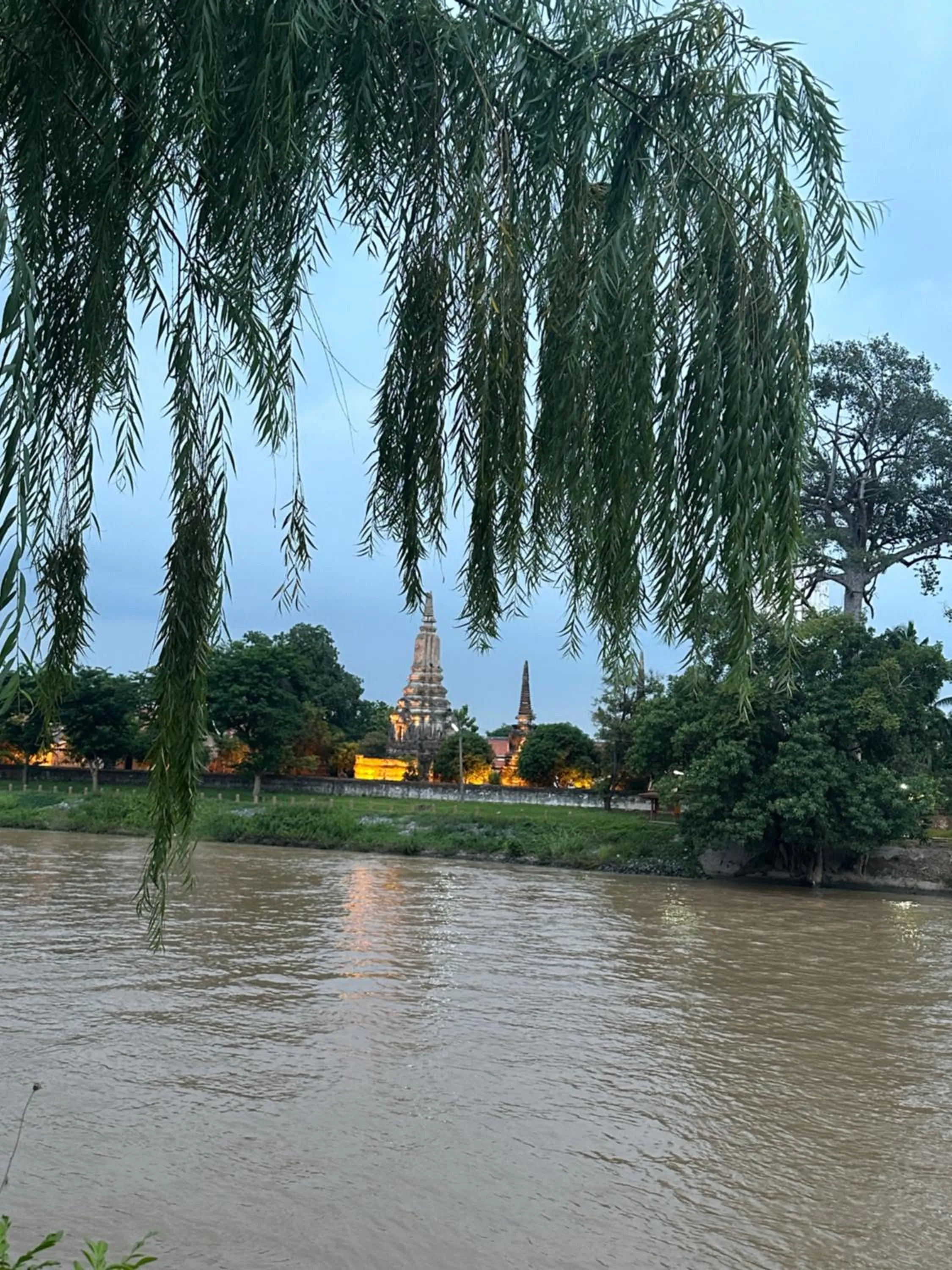 Syama Residence and Café