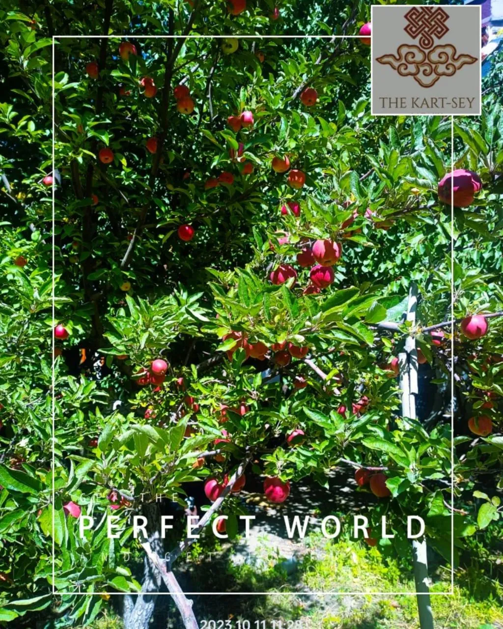 View (from property/room) in The Kart-Sey Ladakh