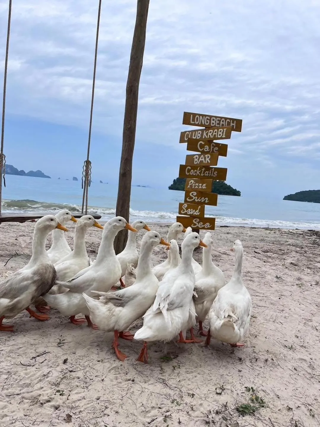 Property building in Long Beach Club Krabi