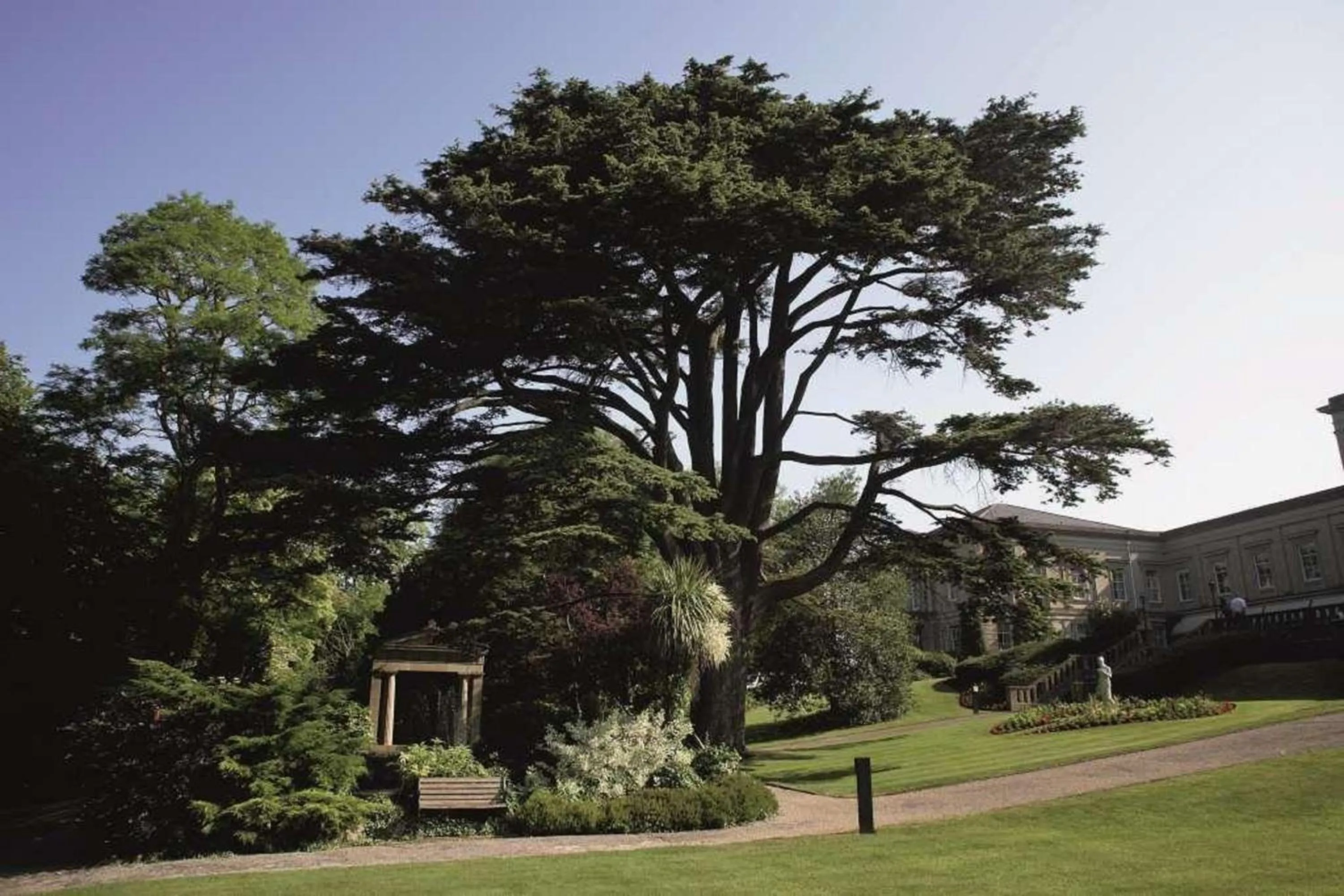 Garden in Macdonald Bath Spa Hotel