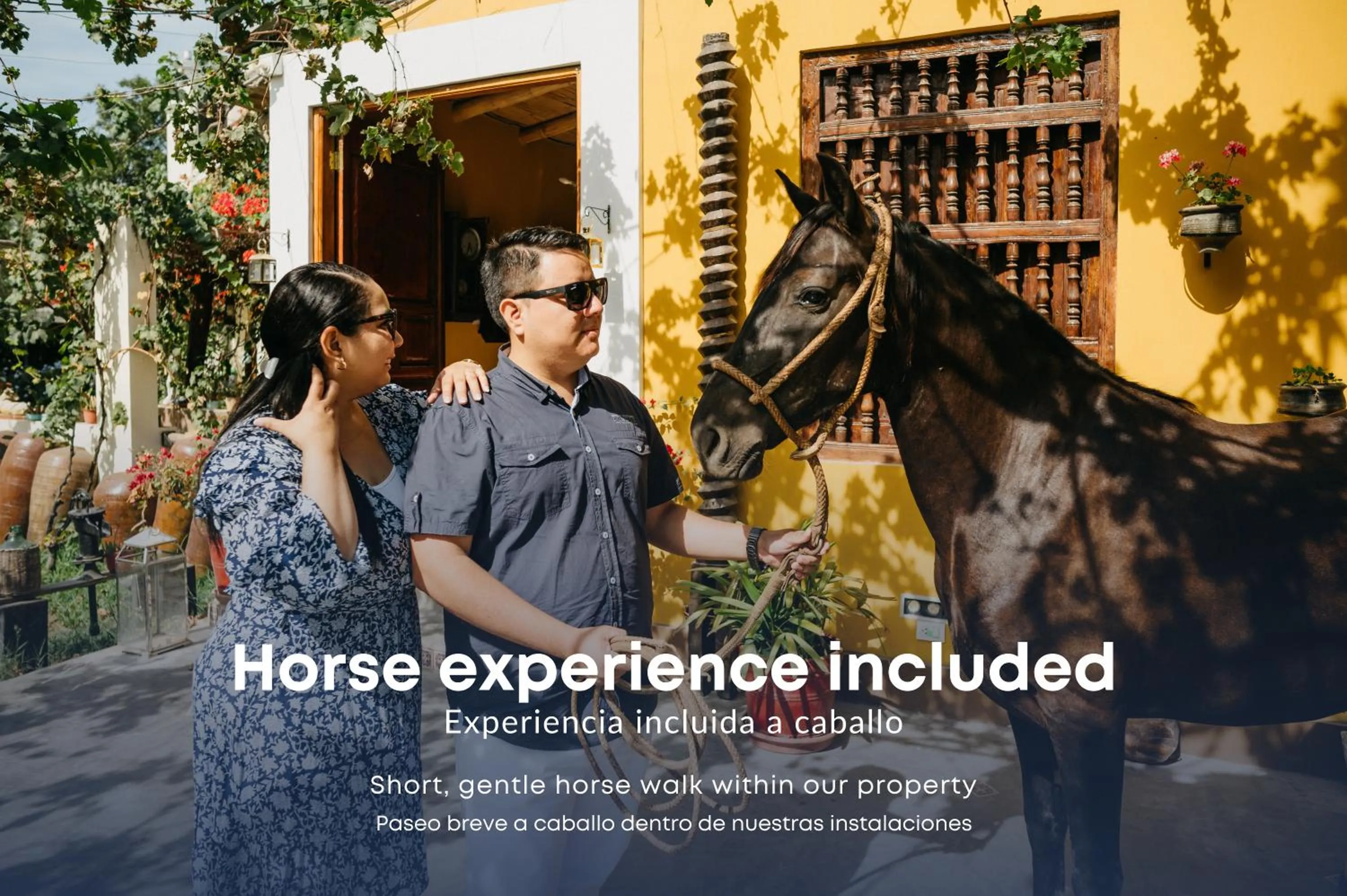 Horse-riding in Serenity Lodge