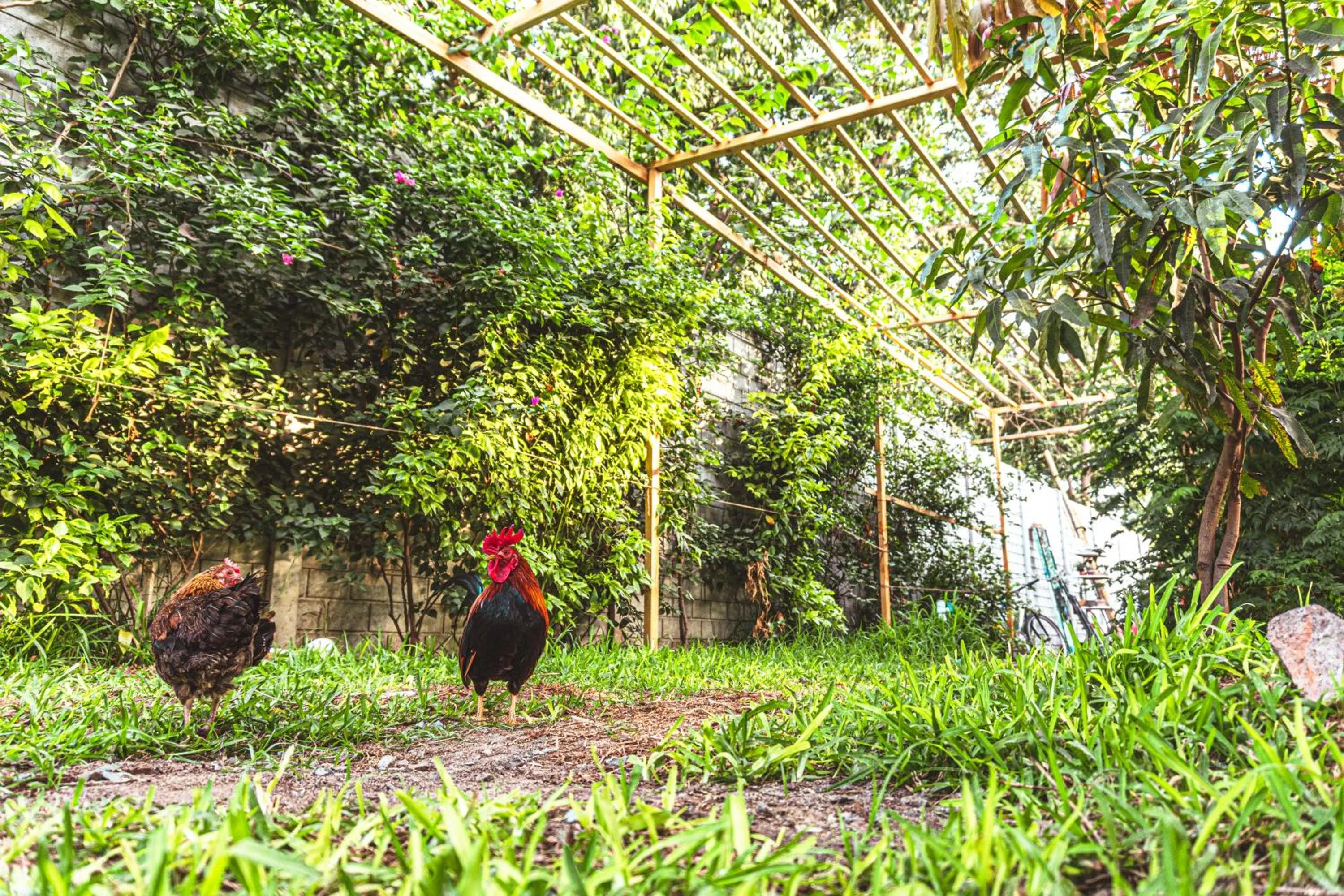 Natural landscape in Serenity Lodge