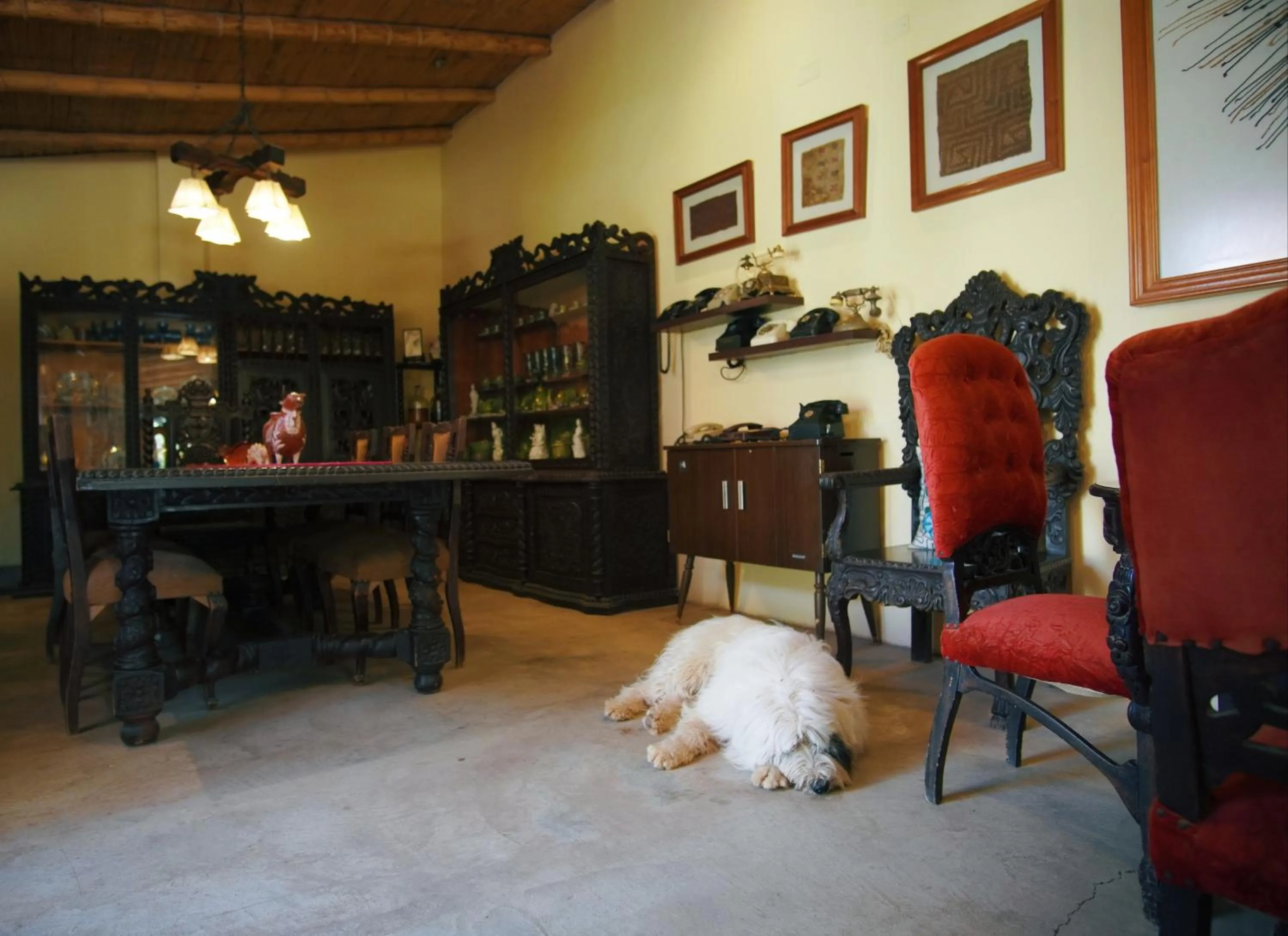 Area and facilities in Serenity Lodge