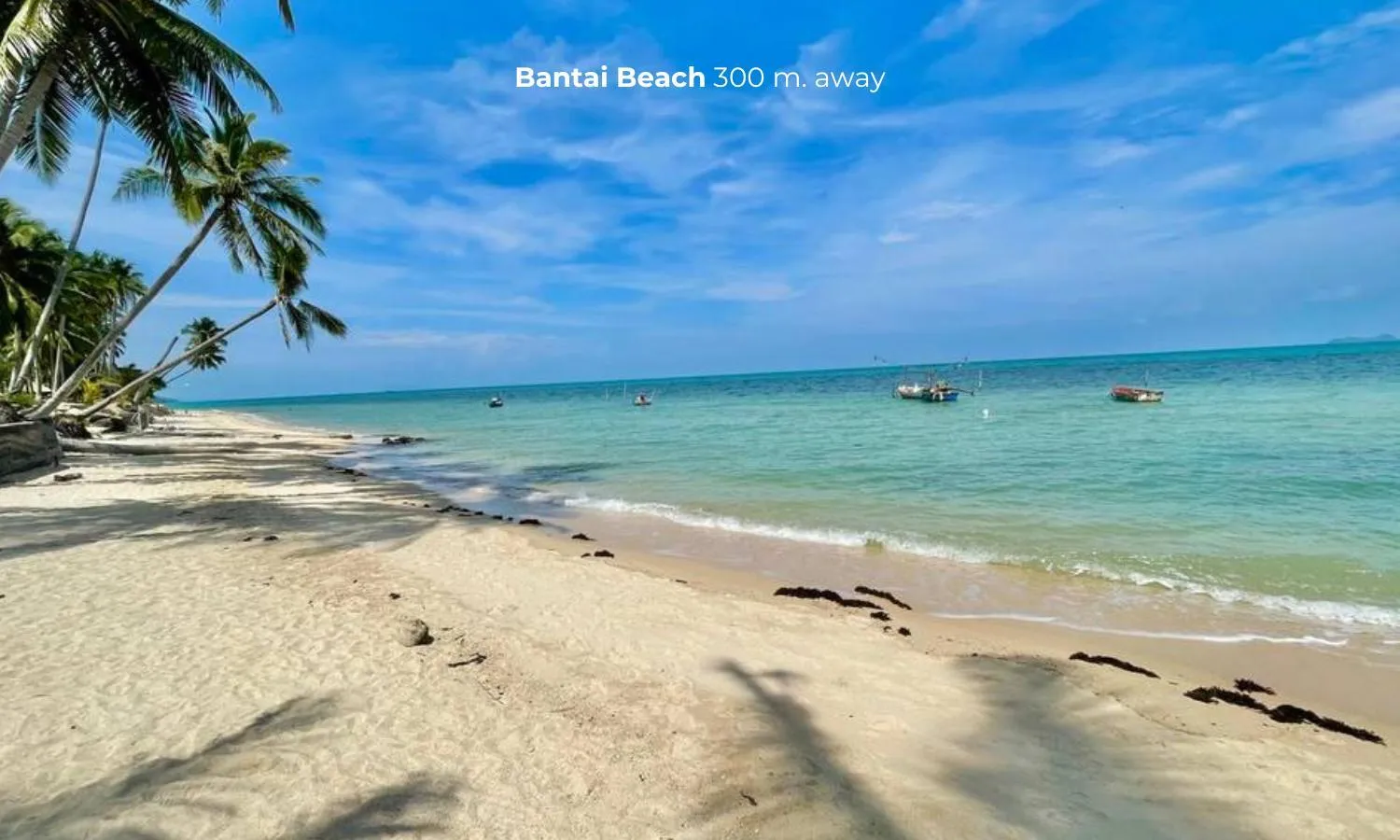 Beach in Moorea Boutique Resort Samui