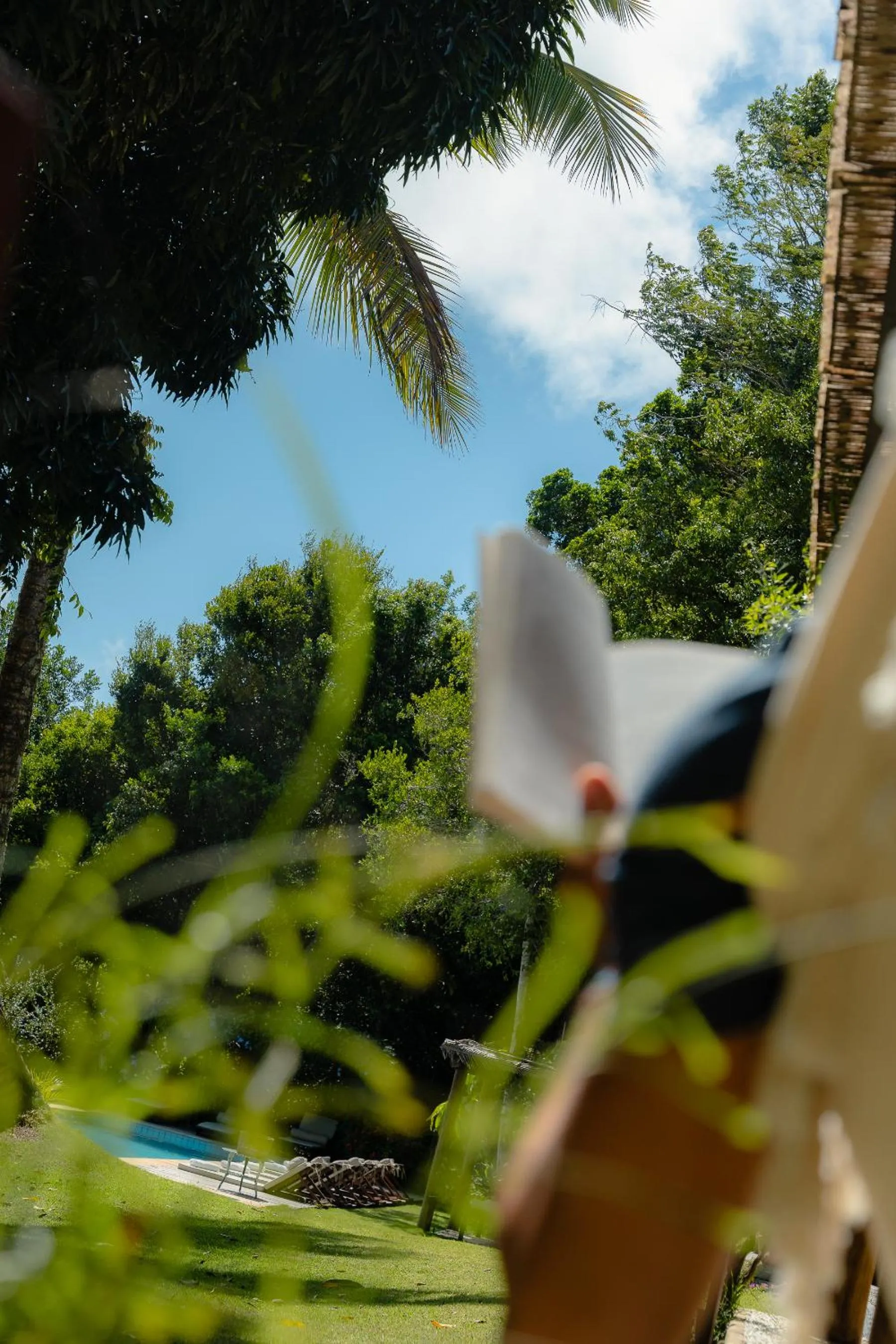 View (from property/room) in Casa Baiana Pousada & Aconchego