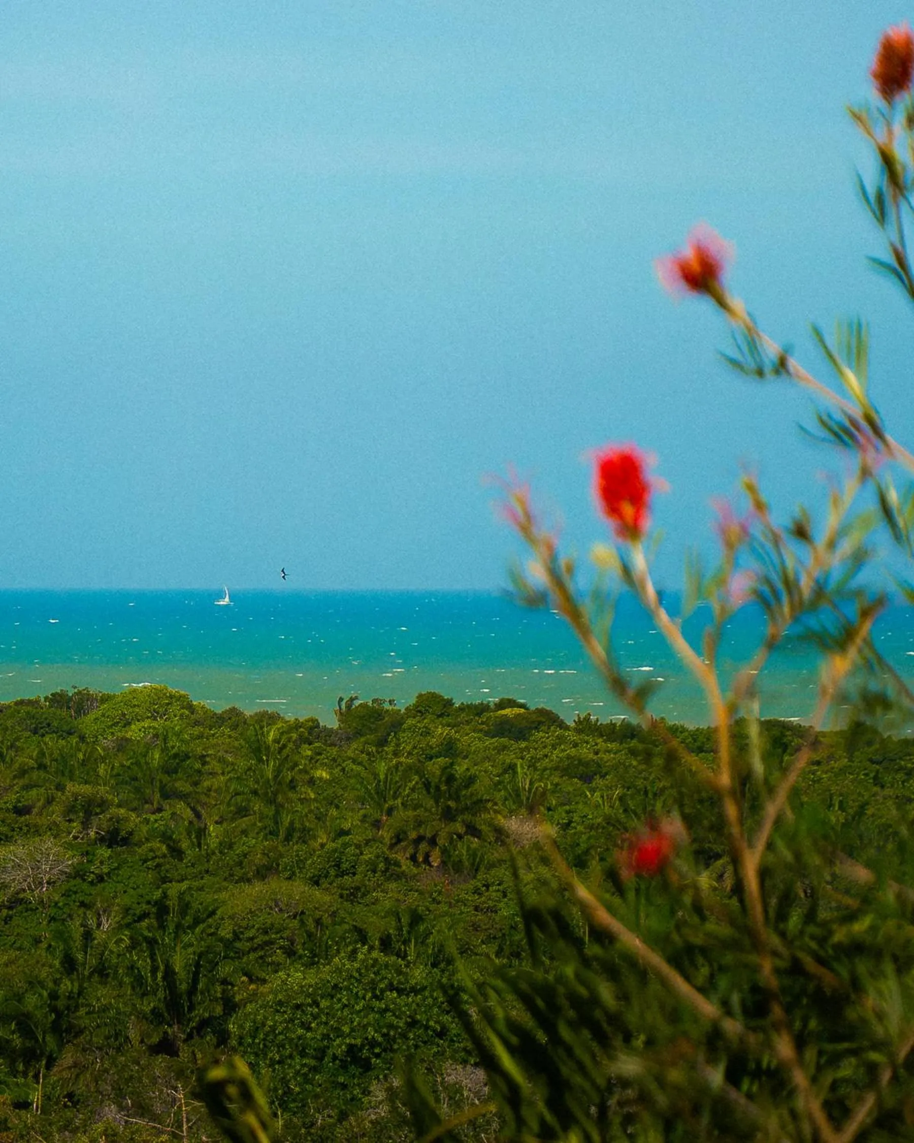 View (from property/room) in Casa Baiana Pousada & Aconchego