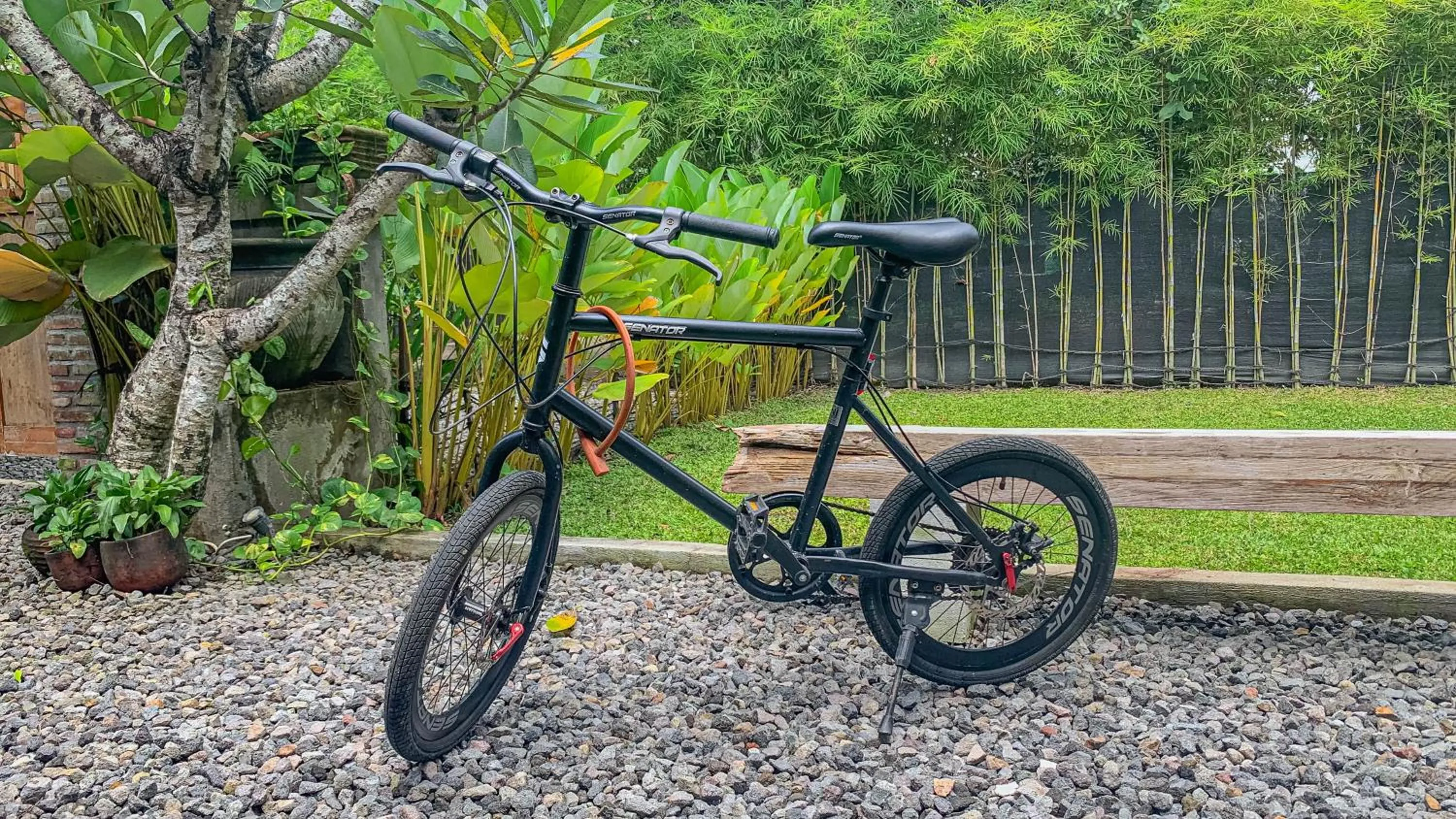 Cycling in Yukke Tembi Homestay