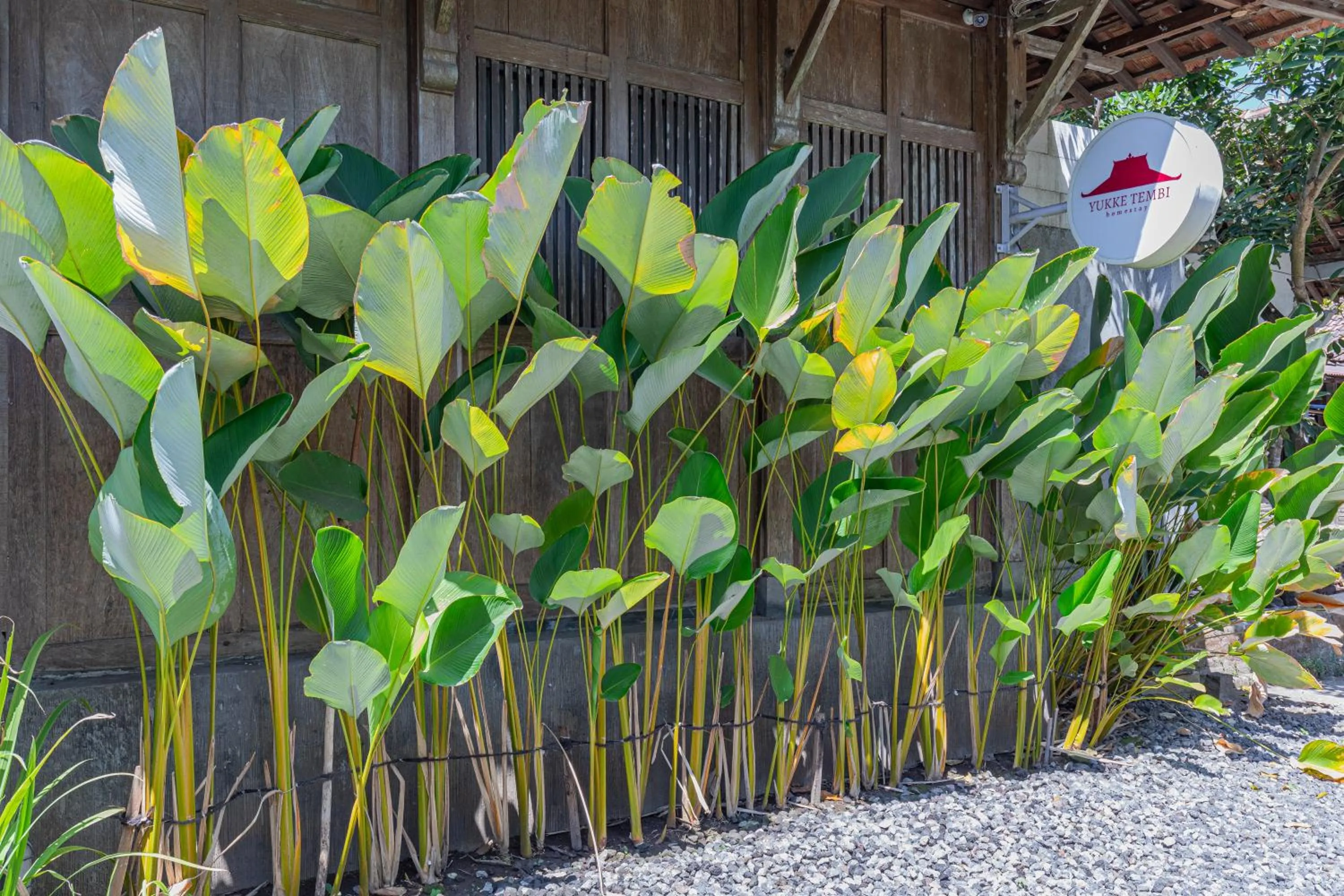 Spring in Yukke Tembi Homestay