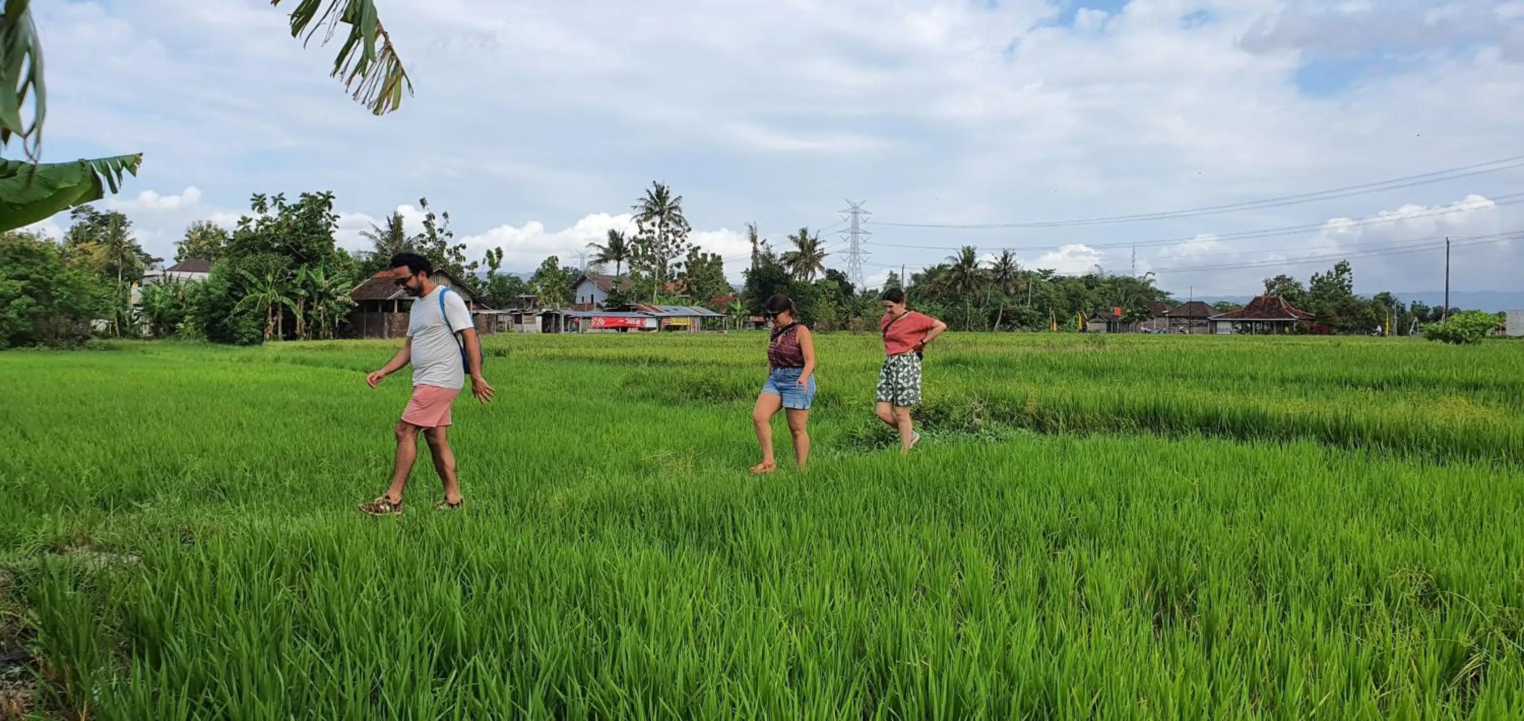 Activities in Yukke Tembi Homestay
