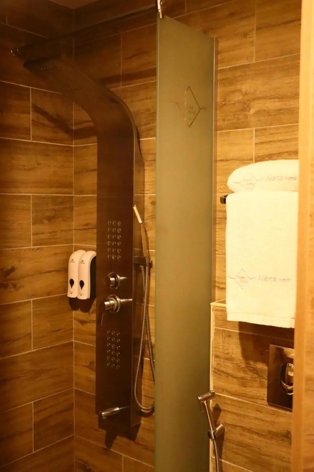 Shower in Alena Boutique Hotel