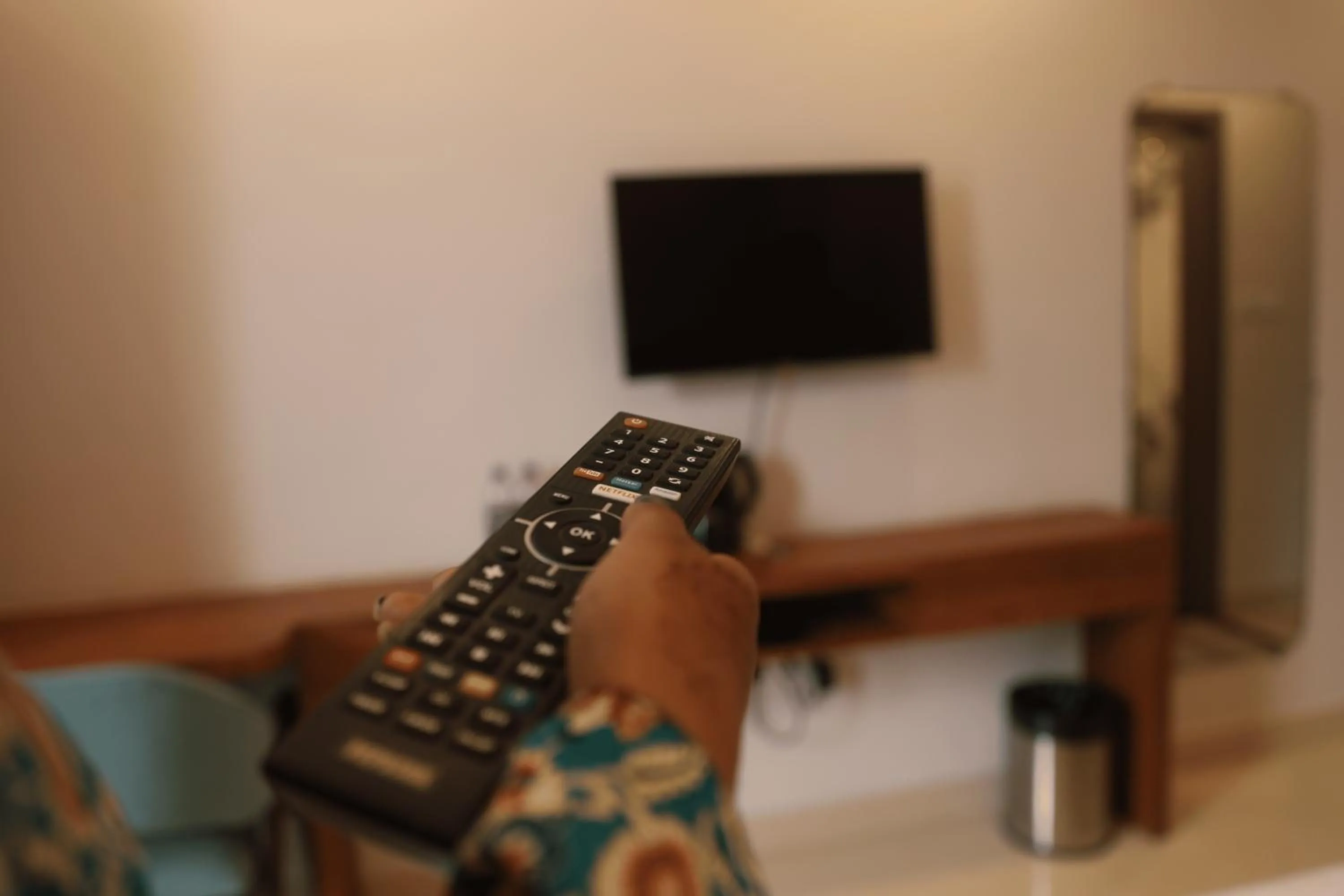 TV and multimedia in Arjun - A boutique hotel