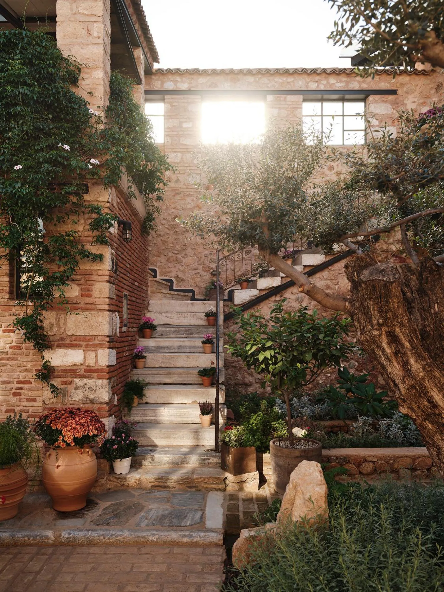 Garden in Not Boutique Hotel