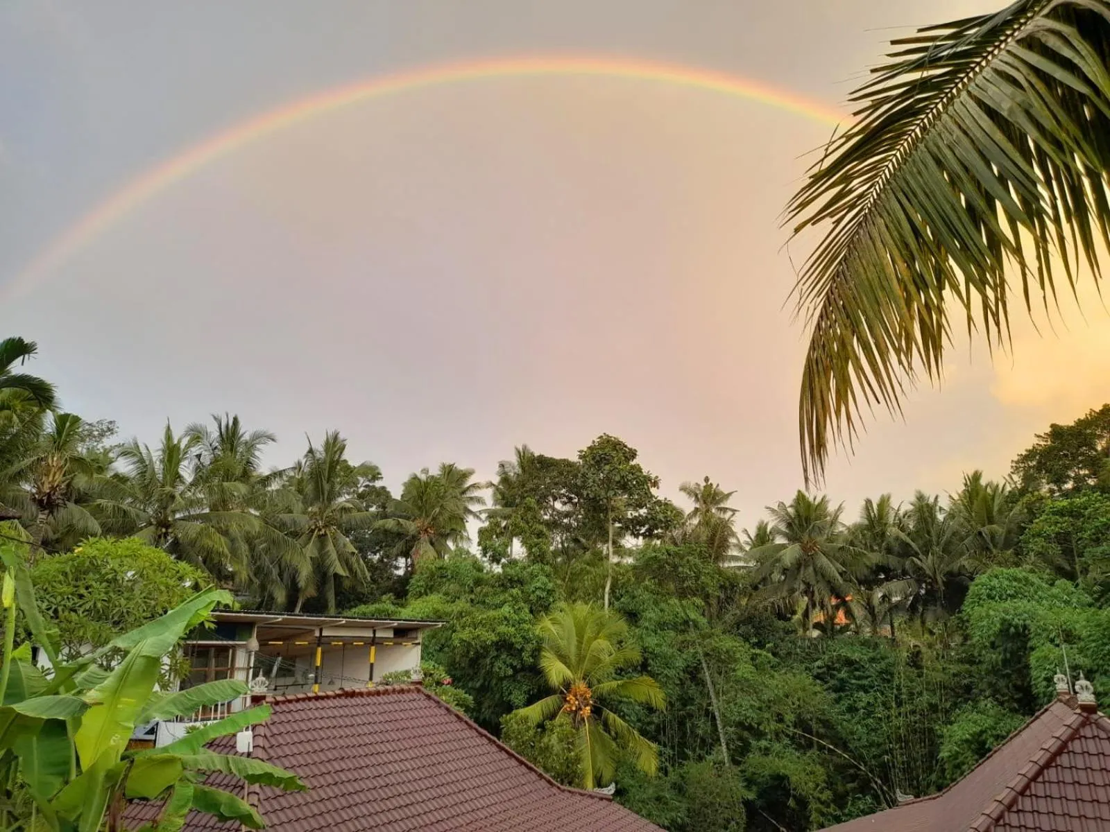 Natural landscape in As I Am Ubud Retreat