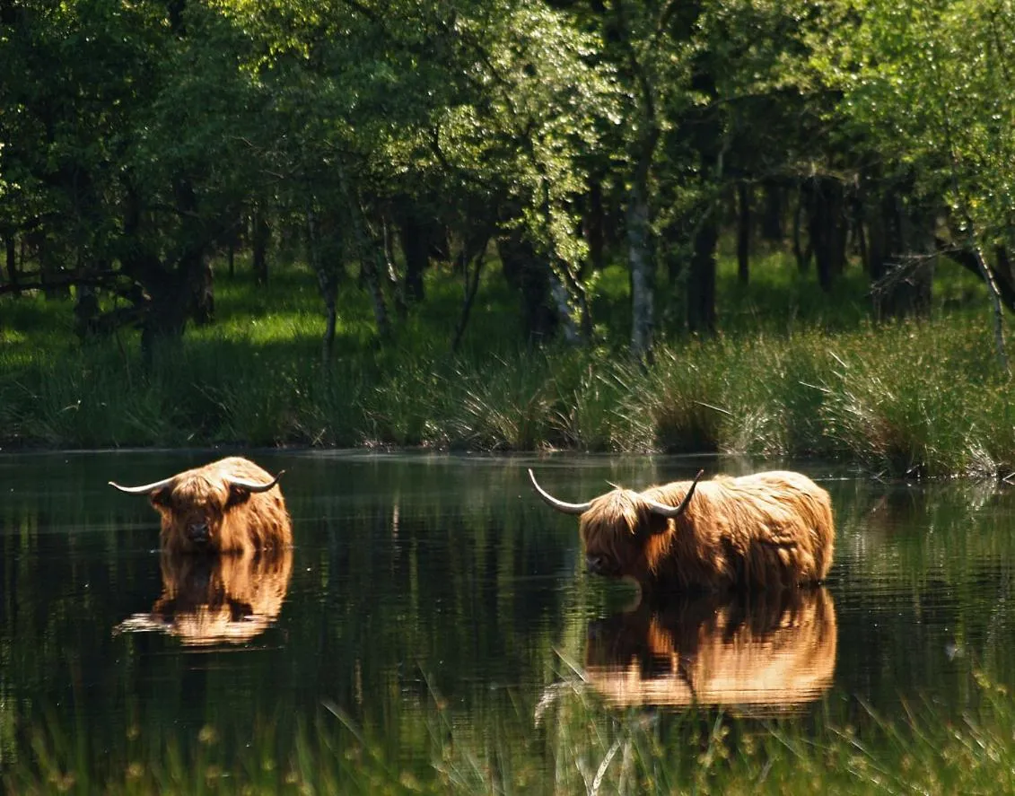 Area and facilities in Hotel van der Valk Spier Dwingeloo