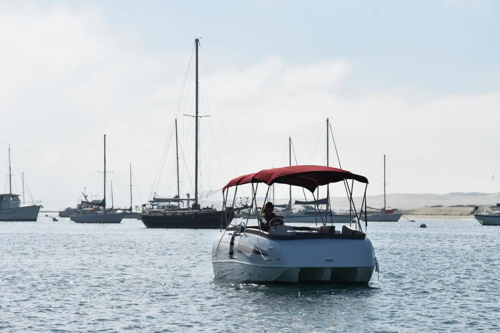 Natural landscape in HarborWalk Inn