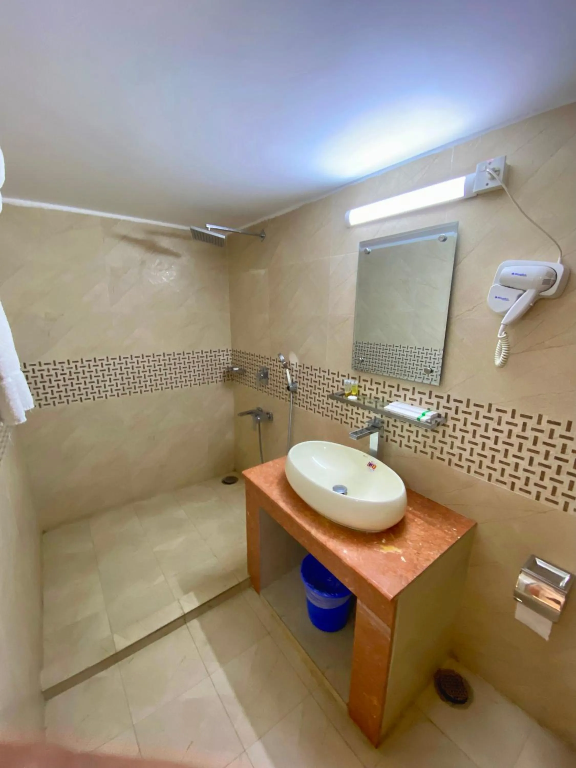 Shower in Hotel Park Hyatt