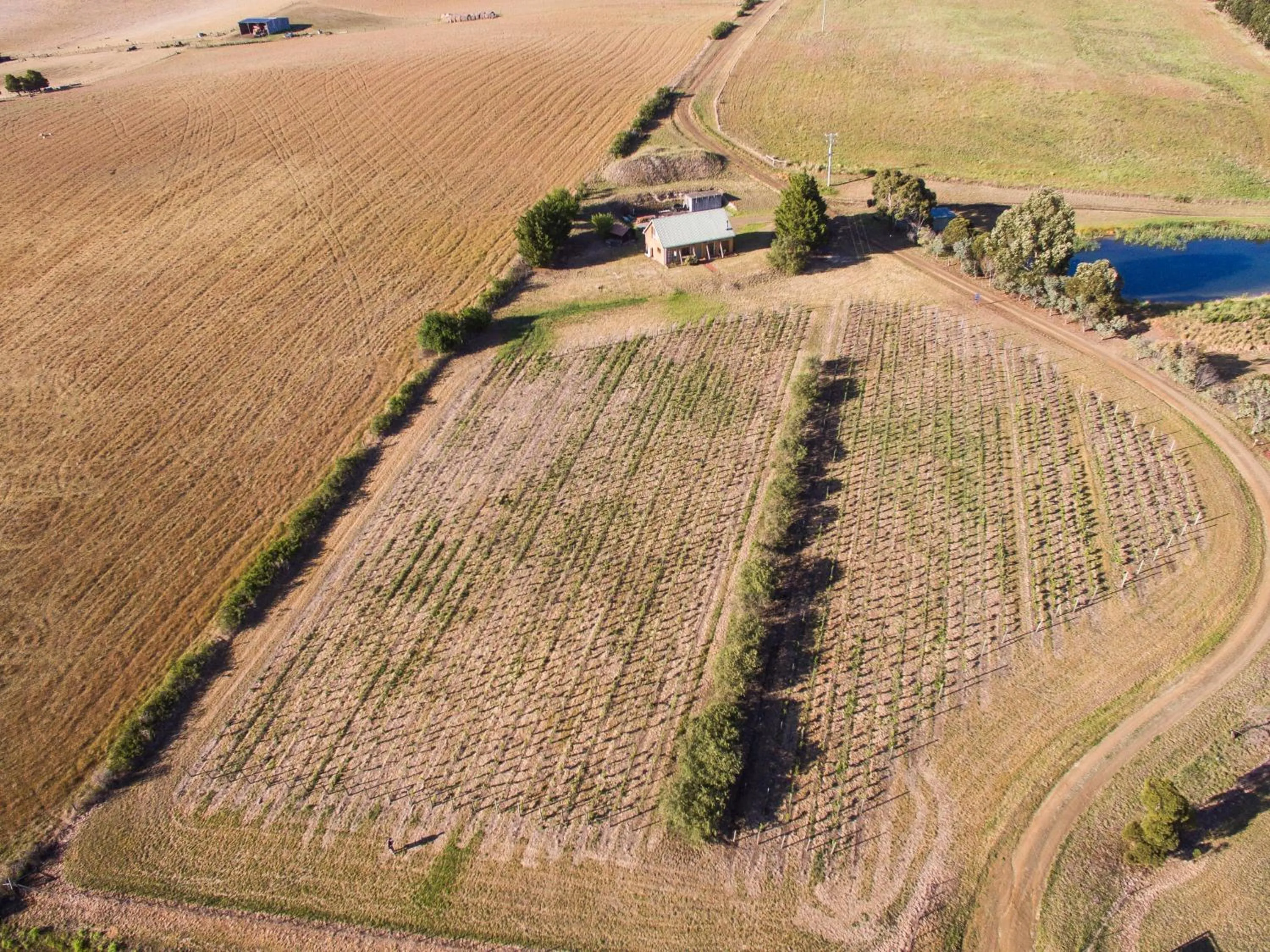 Bird's eye view in Charles Reuben Estate