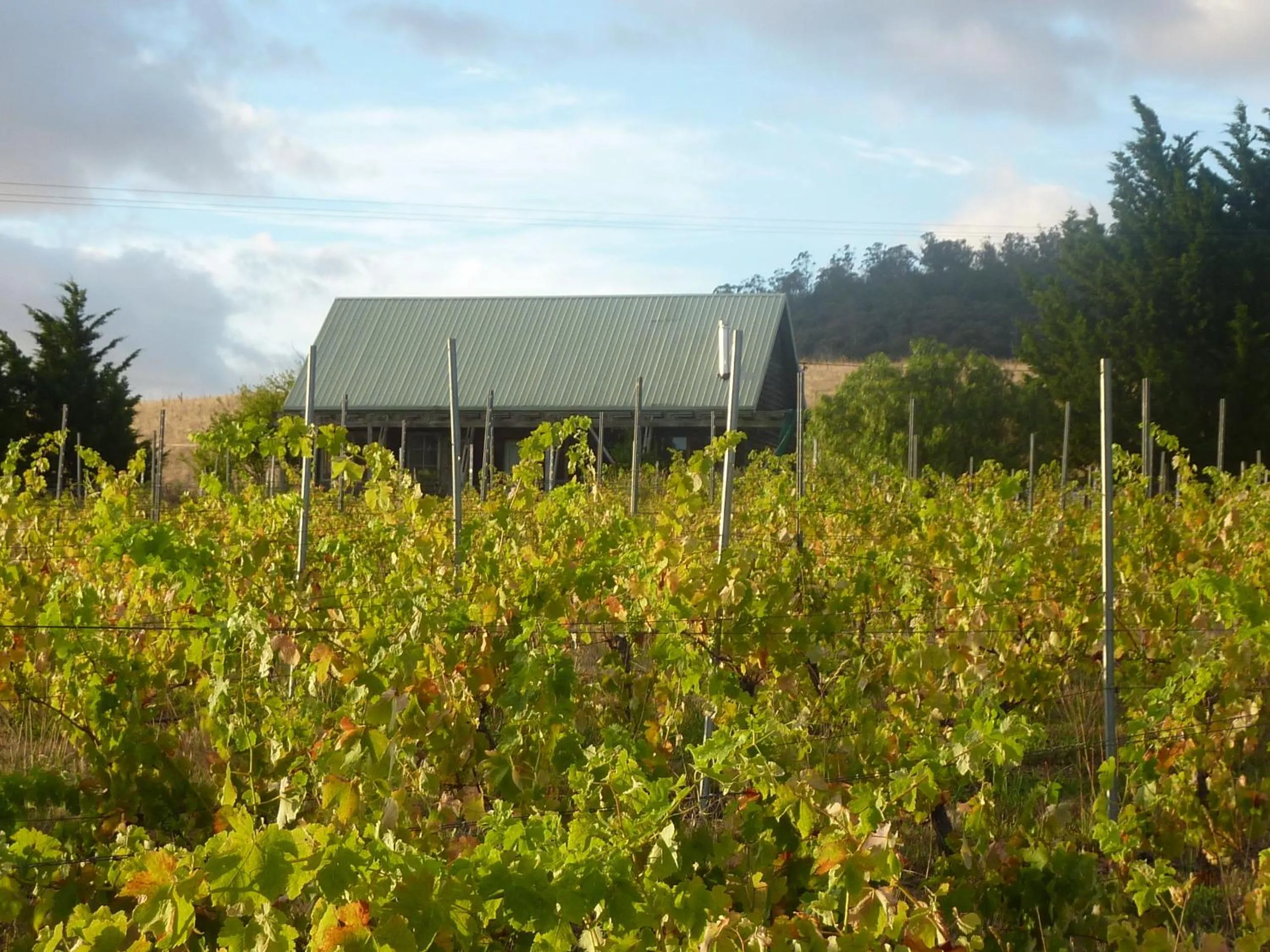Property building in Charles Reuben Estate