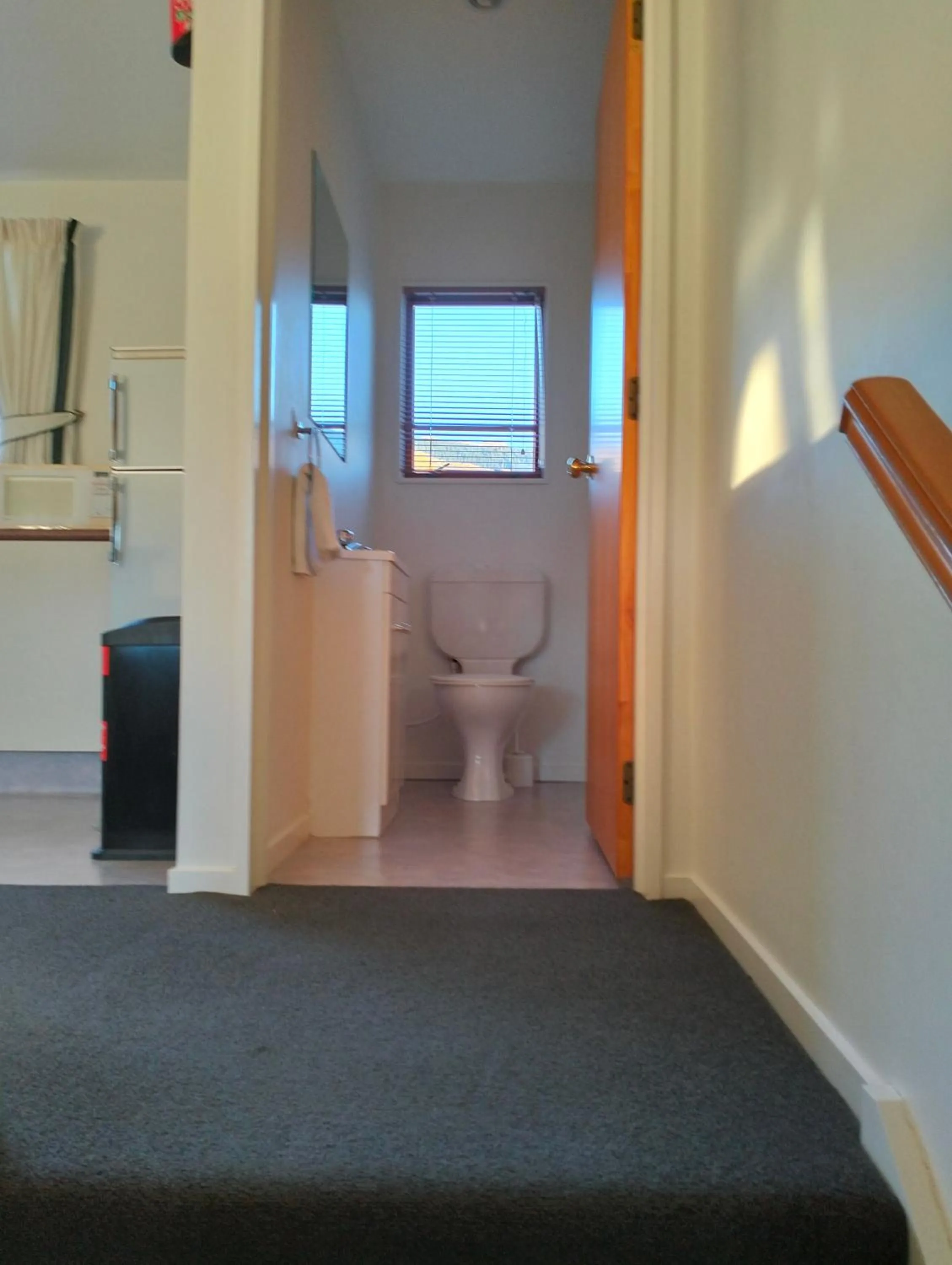 Toilet in Akaroa Village Inn