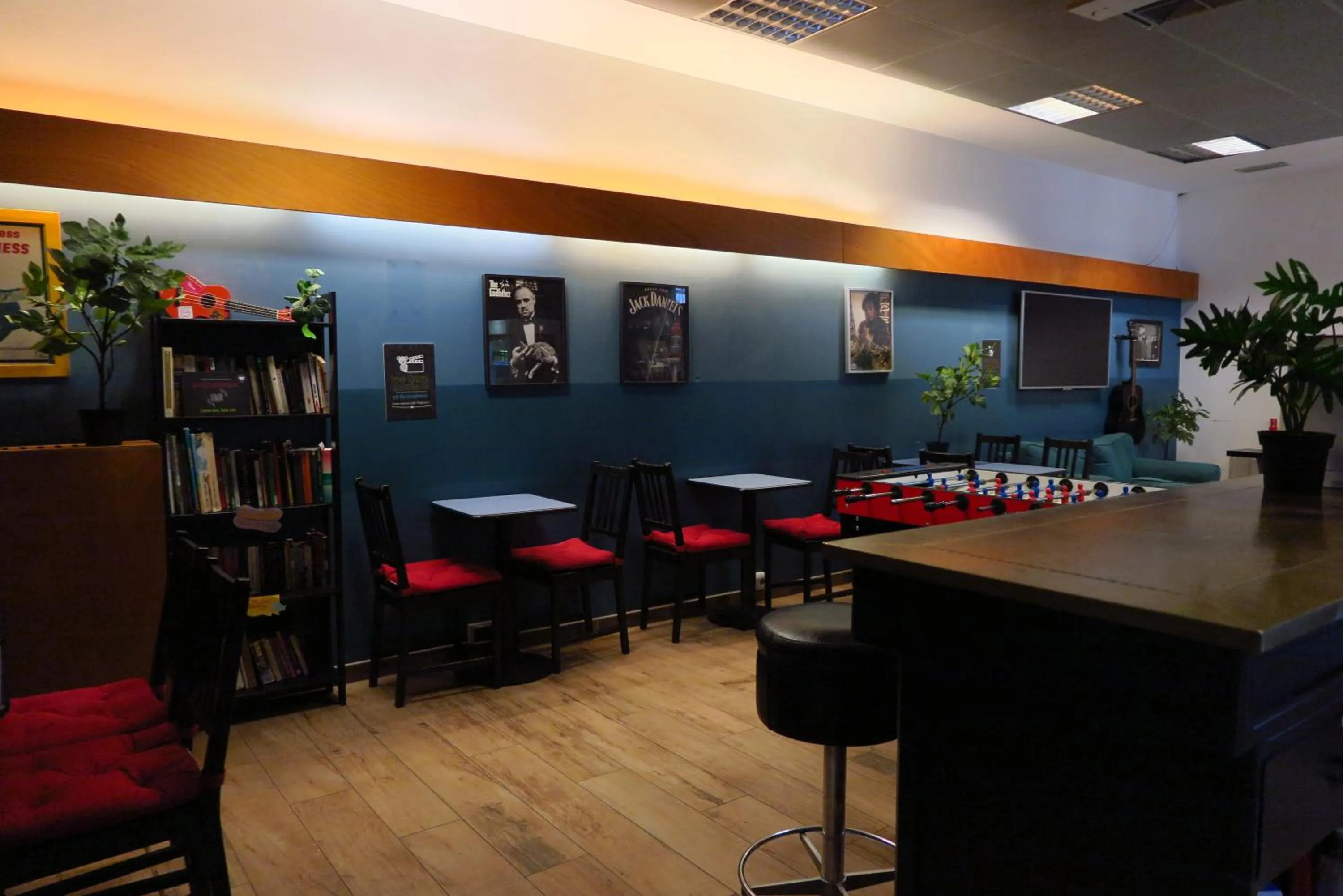 Lounge or bar in Koala Hostel