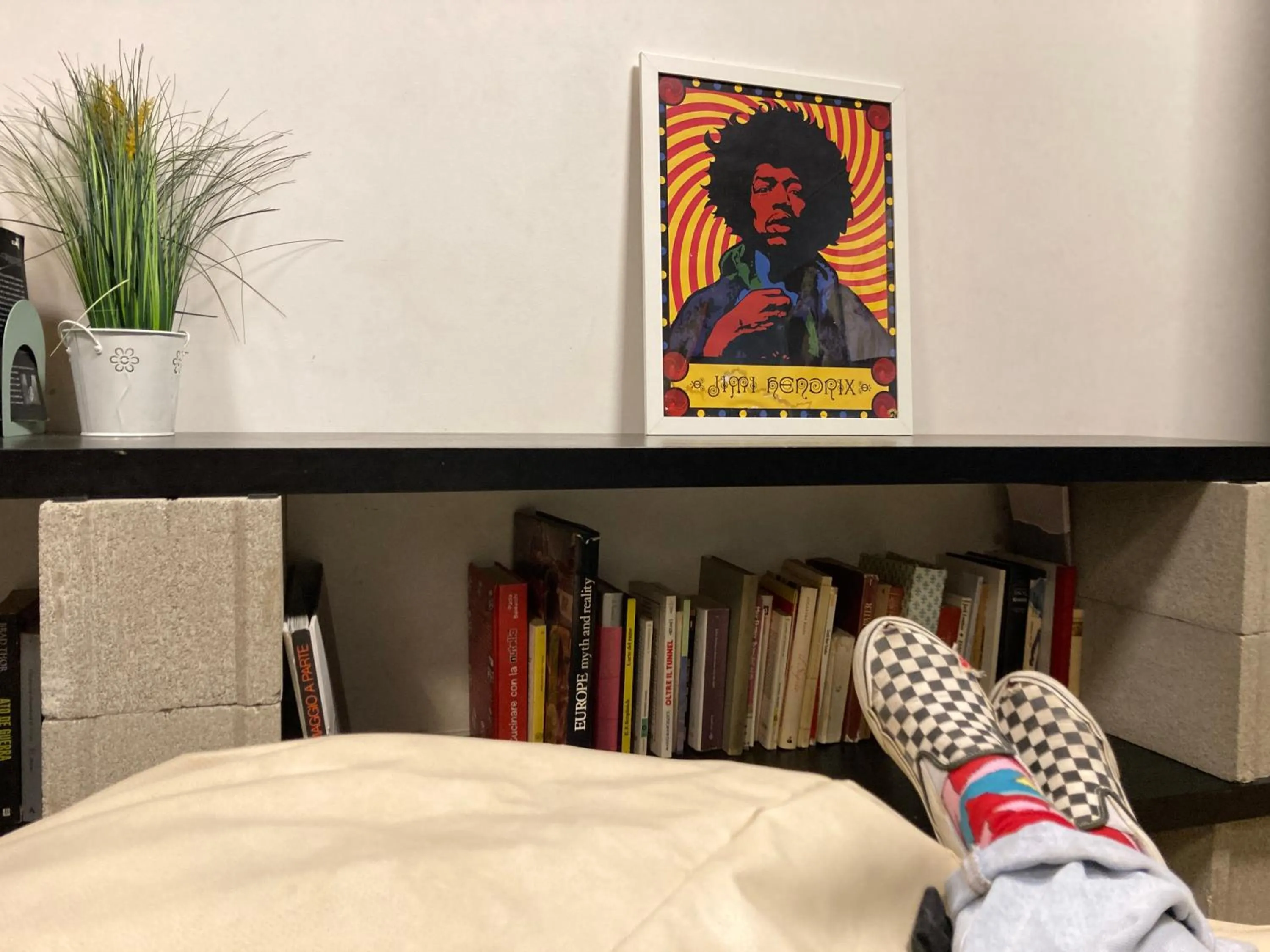 Living room, Bed in Koala Hostel